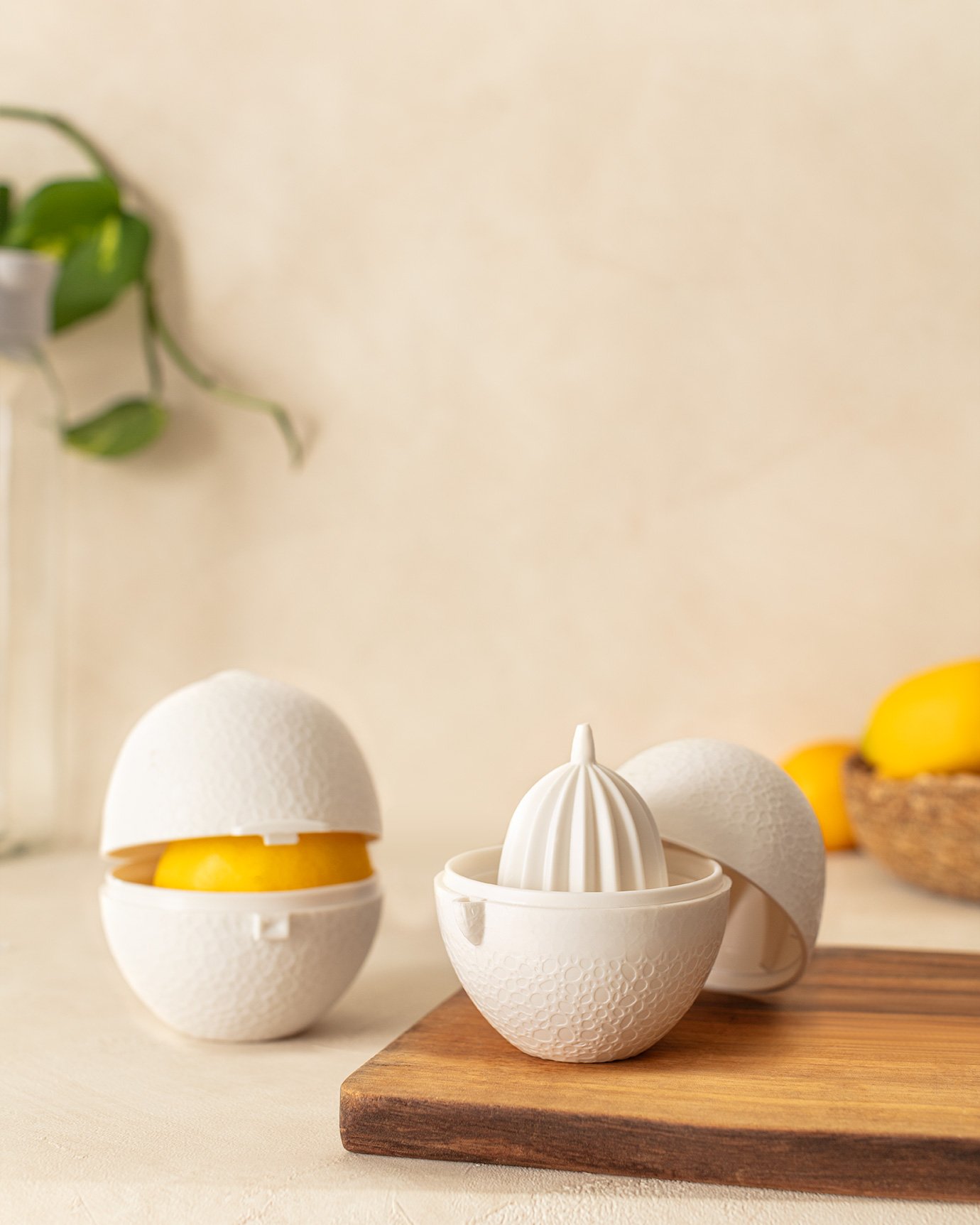 小物 Lemon H366ec5fa9f2c40c09afcbcda5d31a