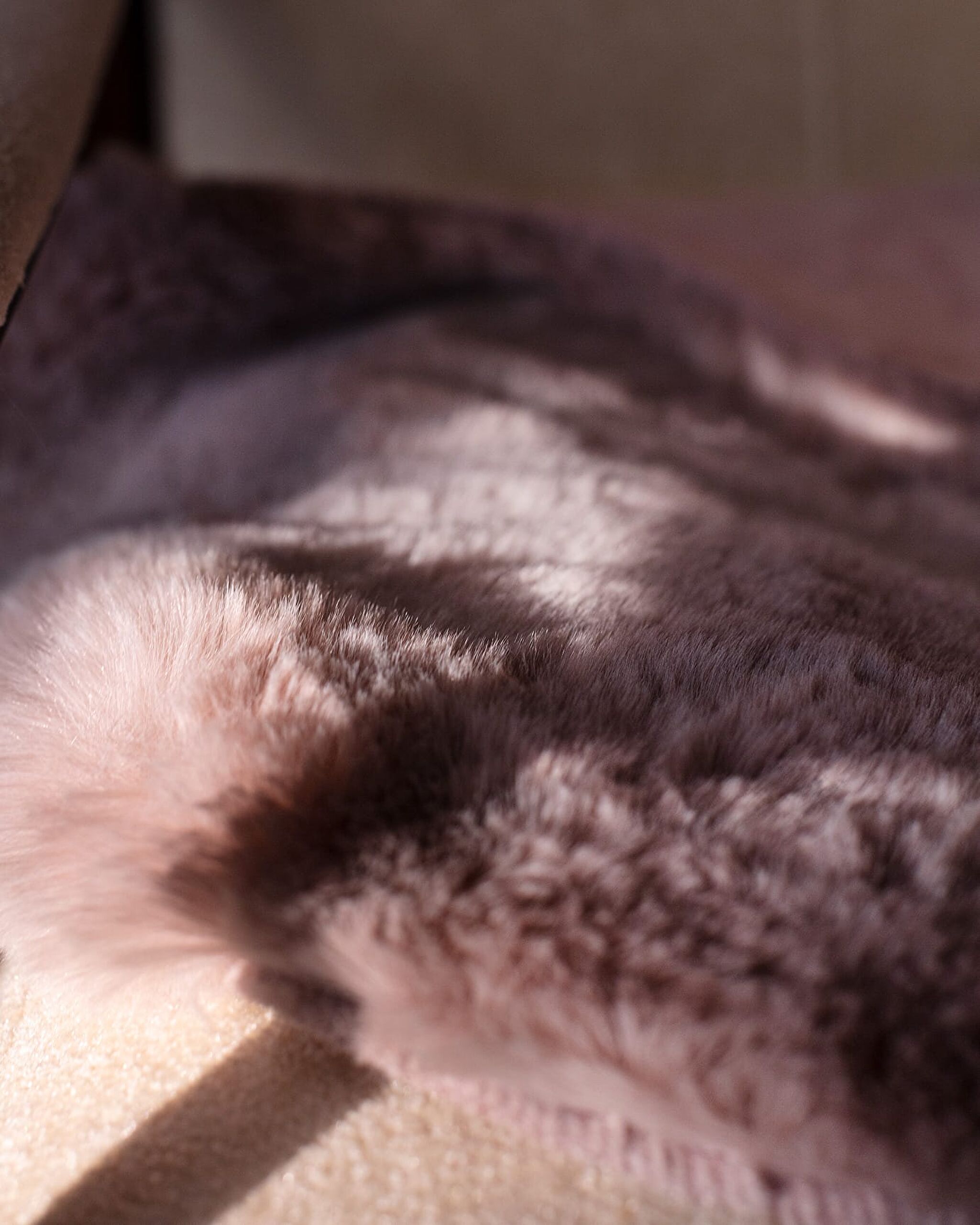 Armend Post - Powder - 60x90 cm - 2