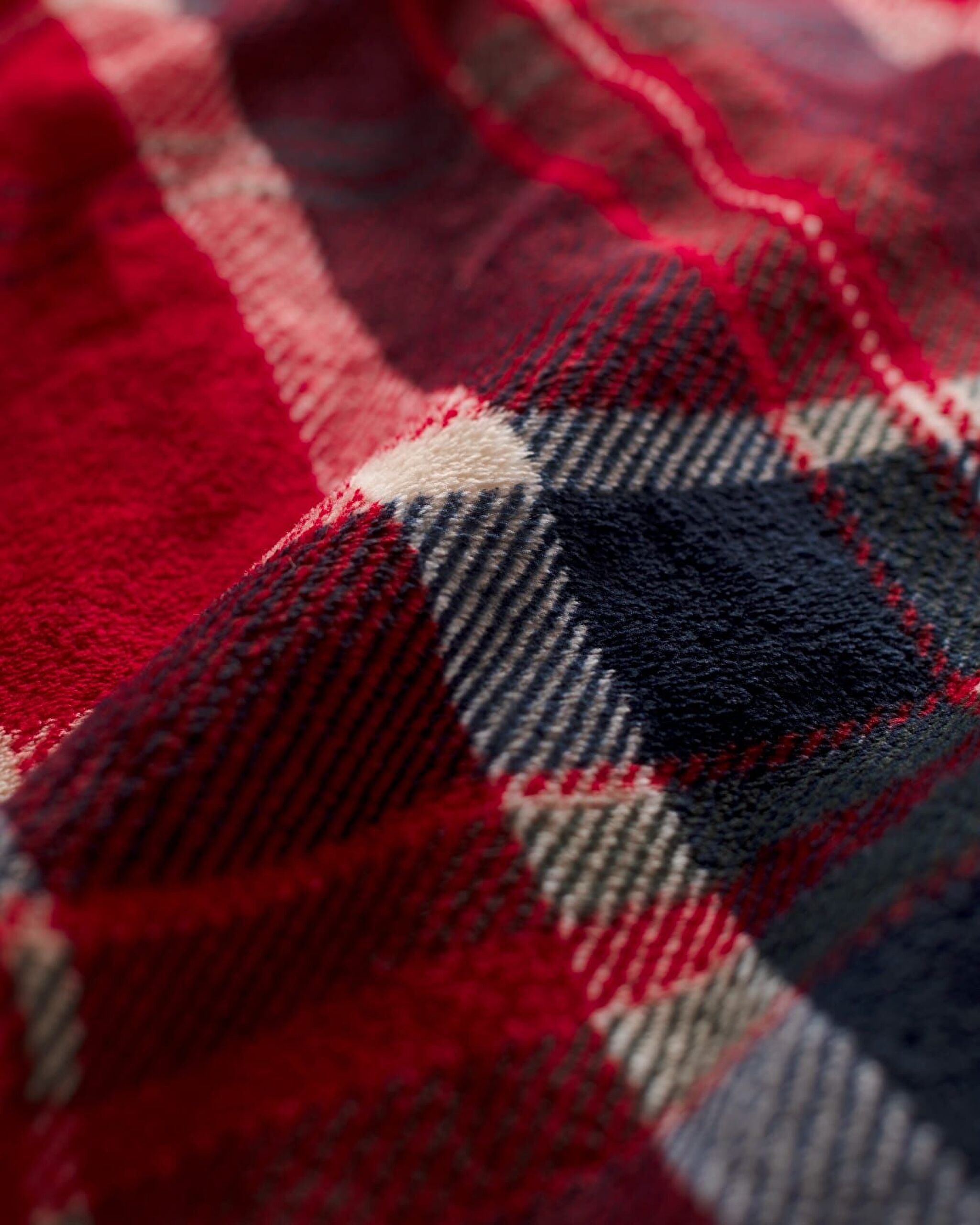 بطانية مطبوعة من تيني ويلسوفت - 5