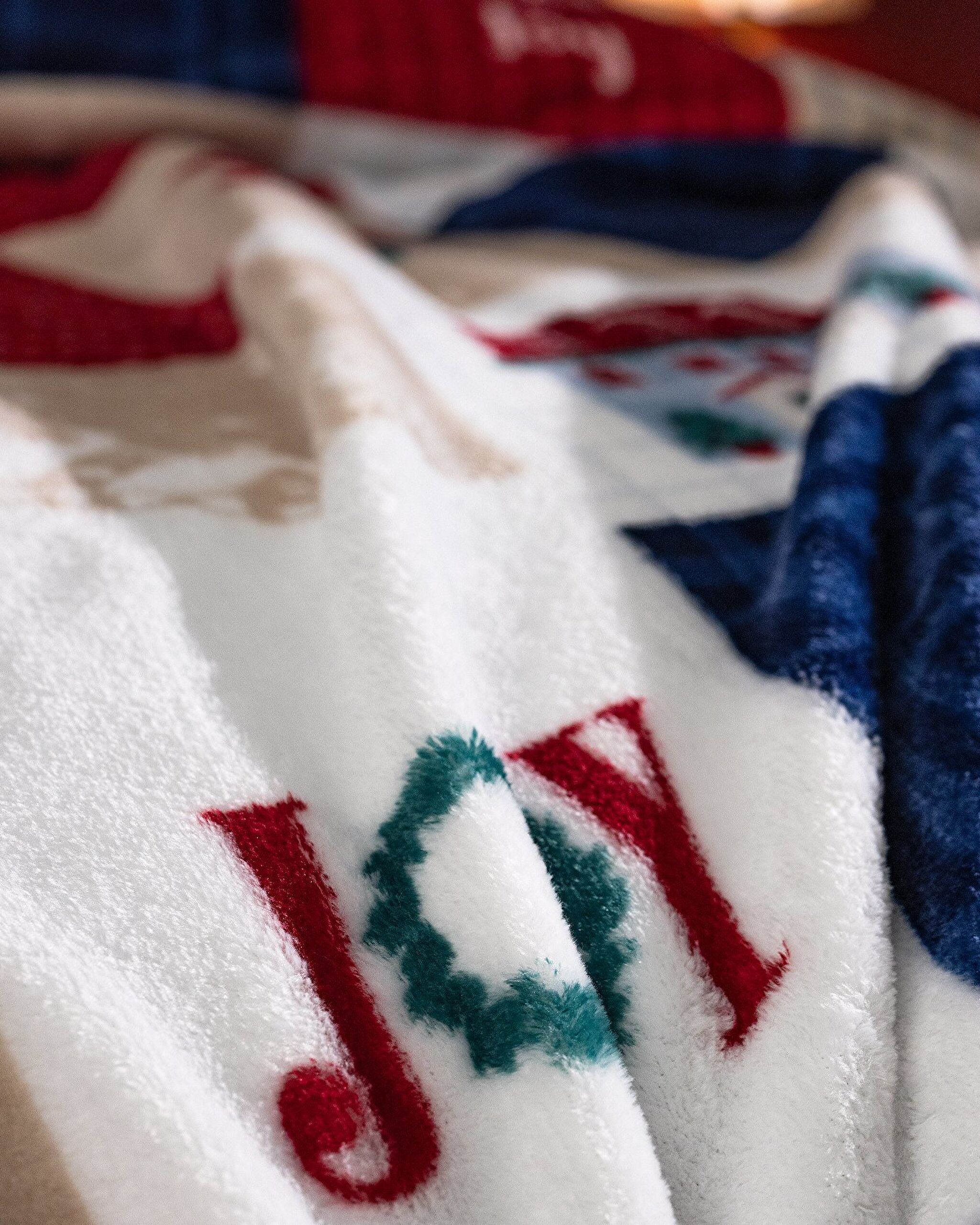 Chevalz Wellsoft Printed Blanket - 5