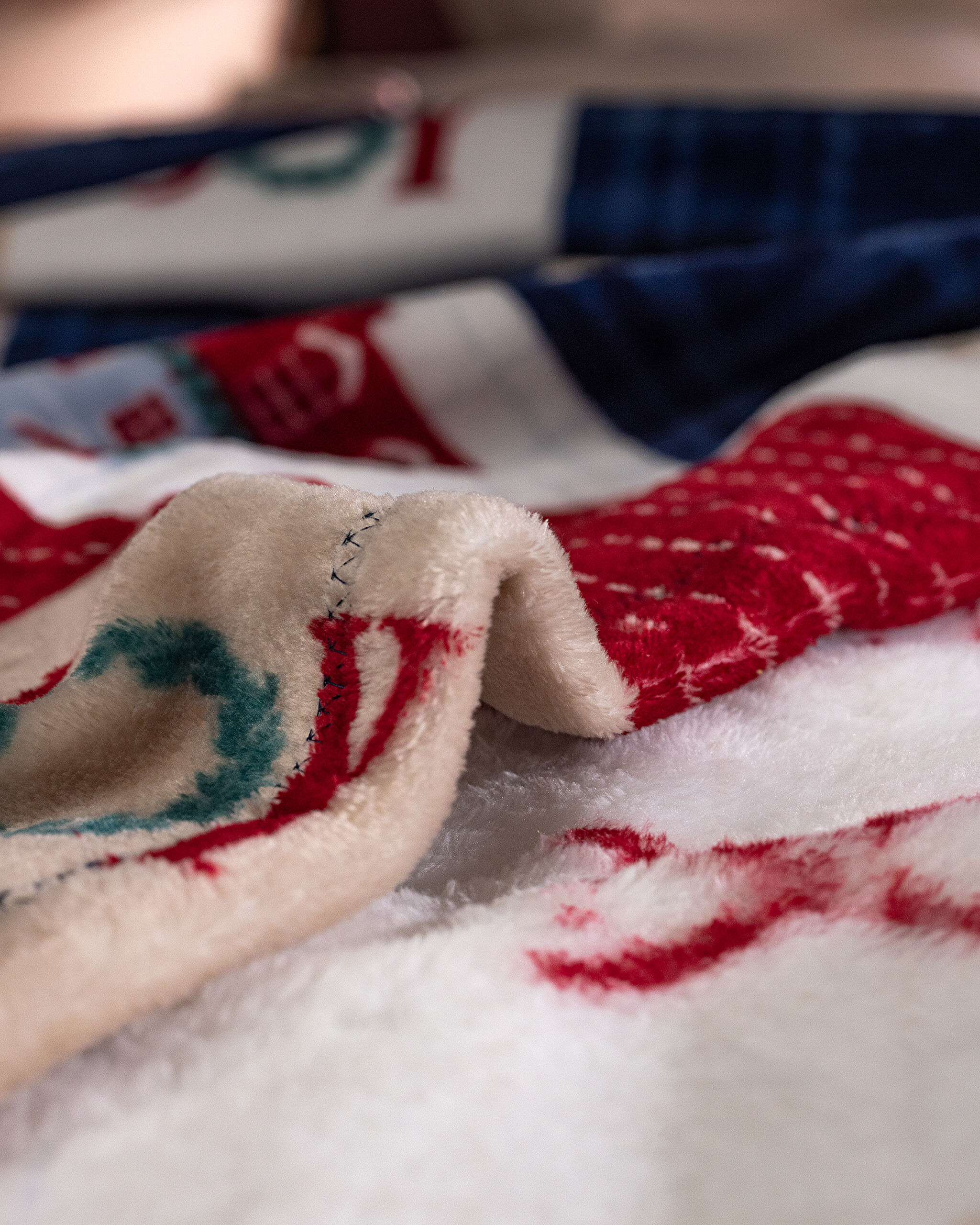 Chevalz Wellsoft Printed Blanket - 4