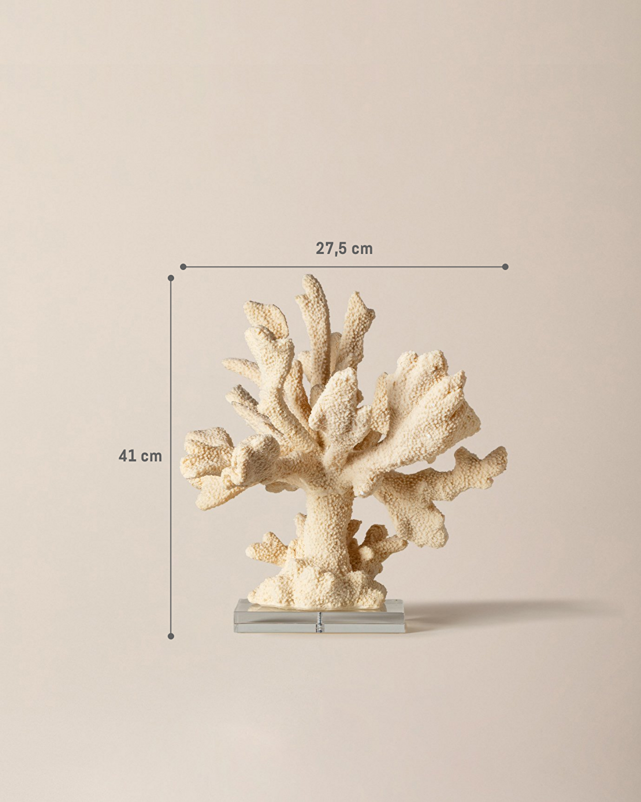 Beatrice Bibelot - 5