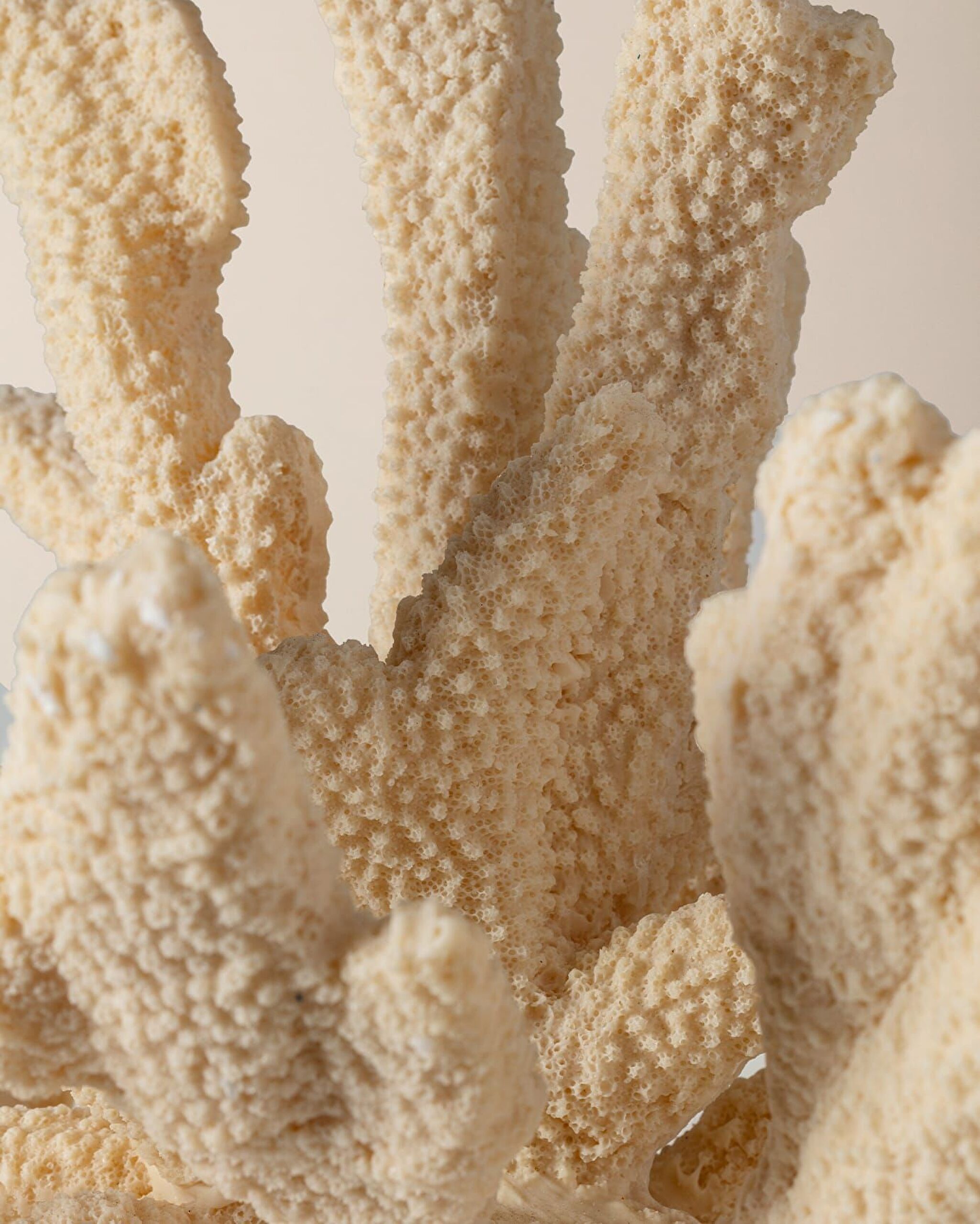 Beatrice Bibelot - 4