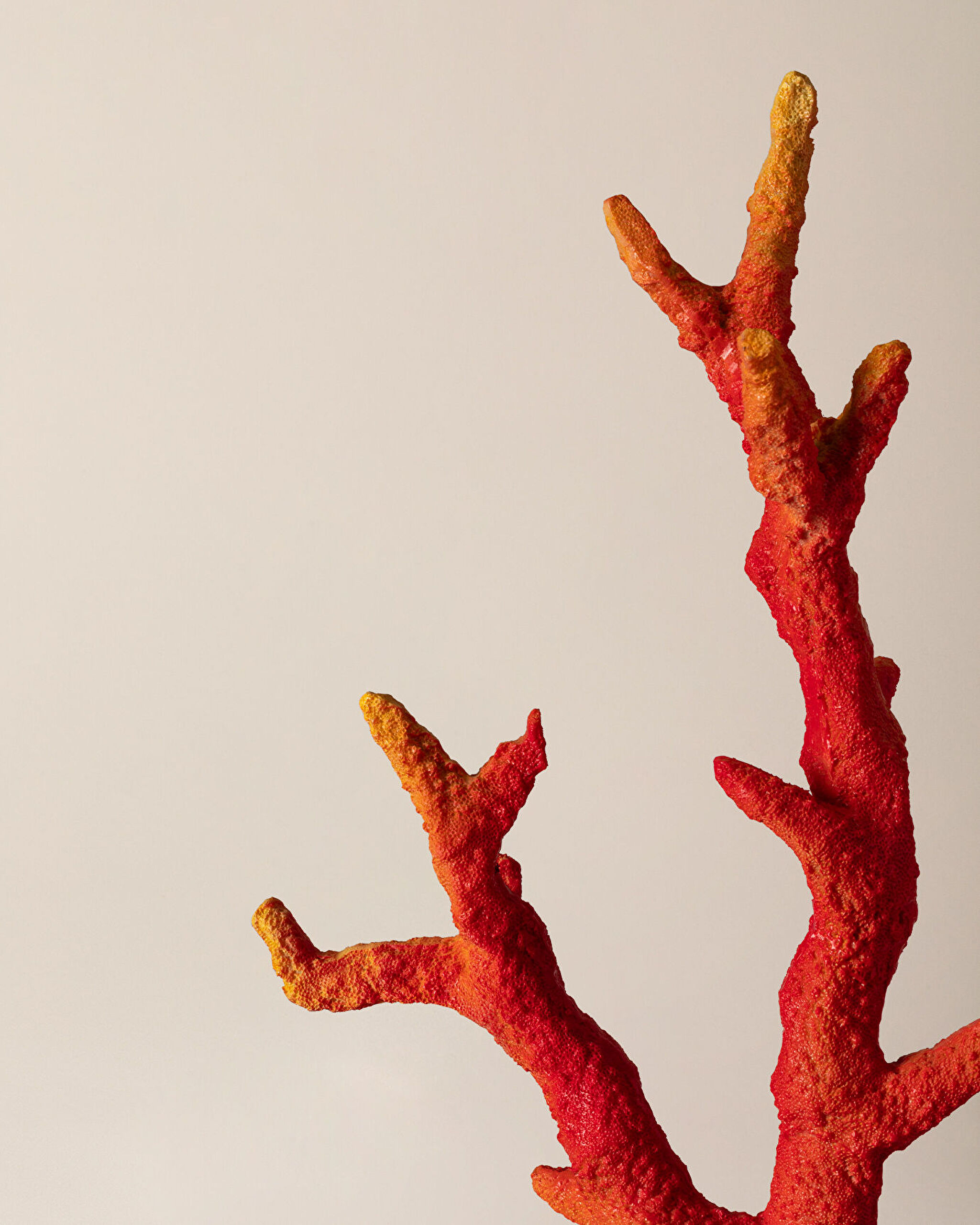 Isabella Trinket - 2