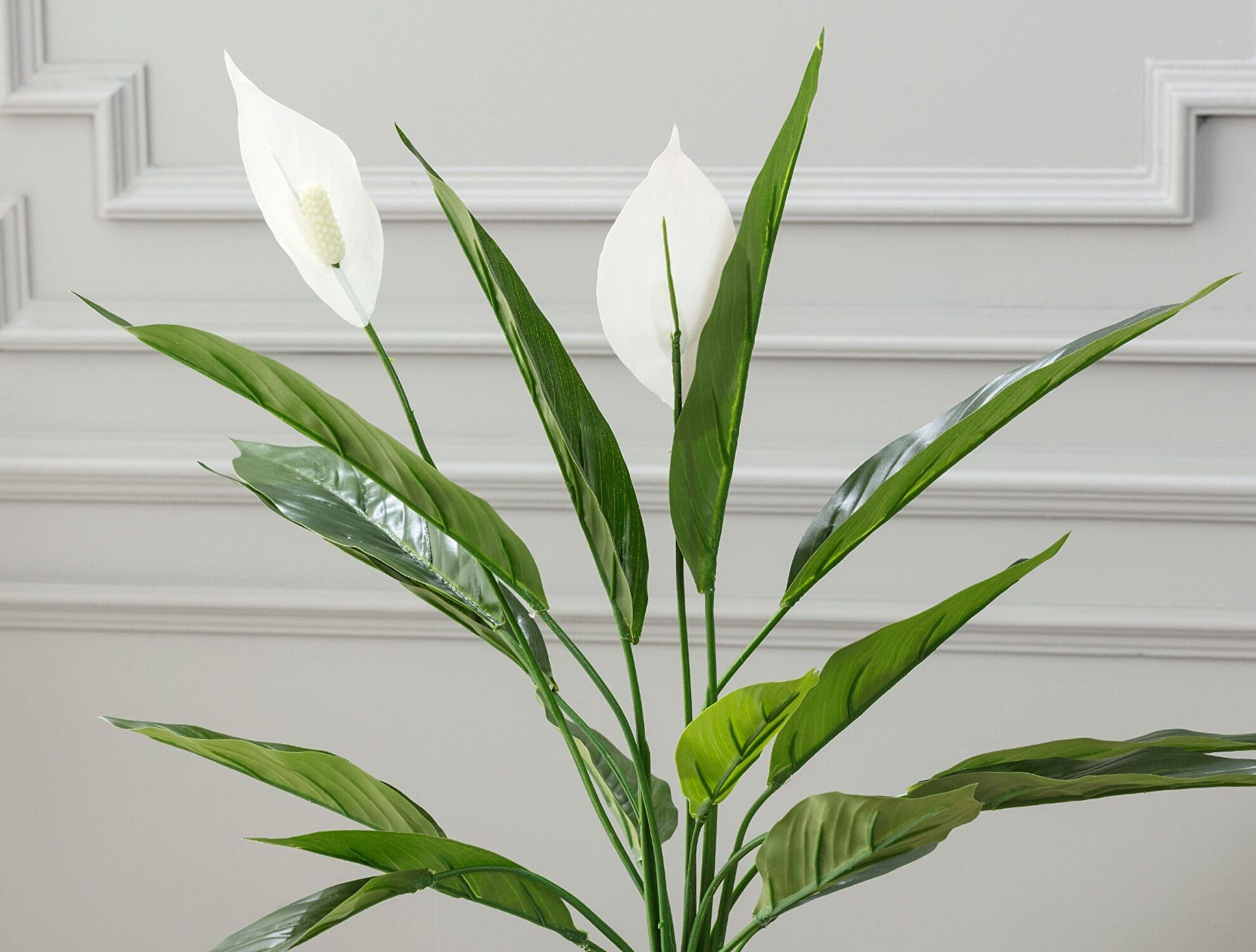 Broche Potted Plant - 1