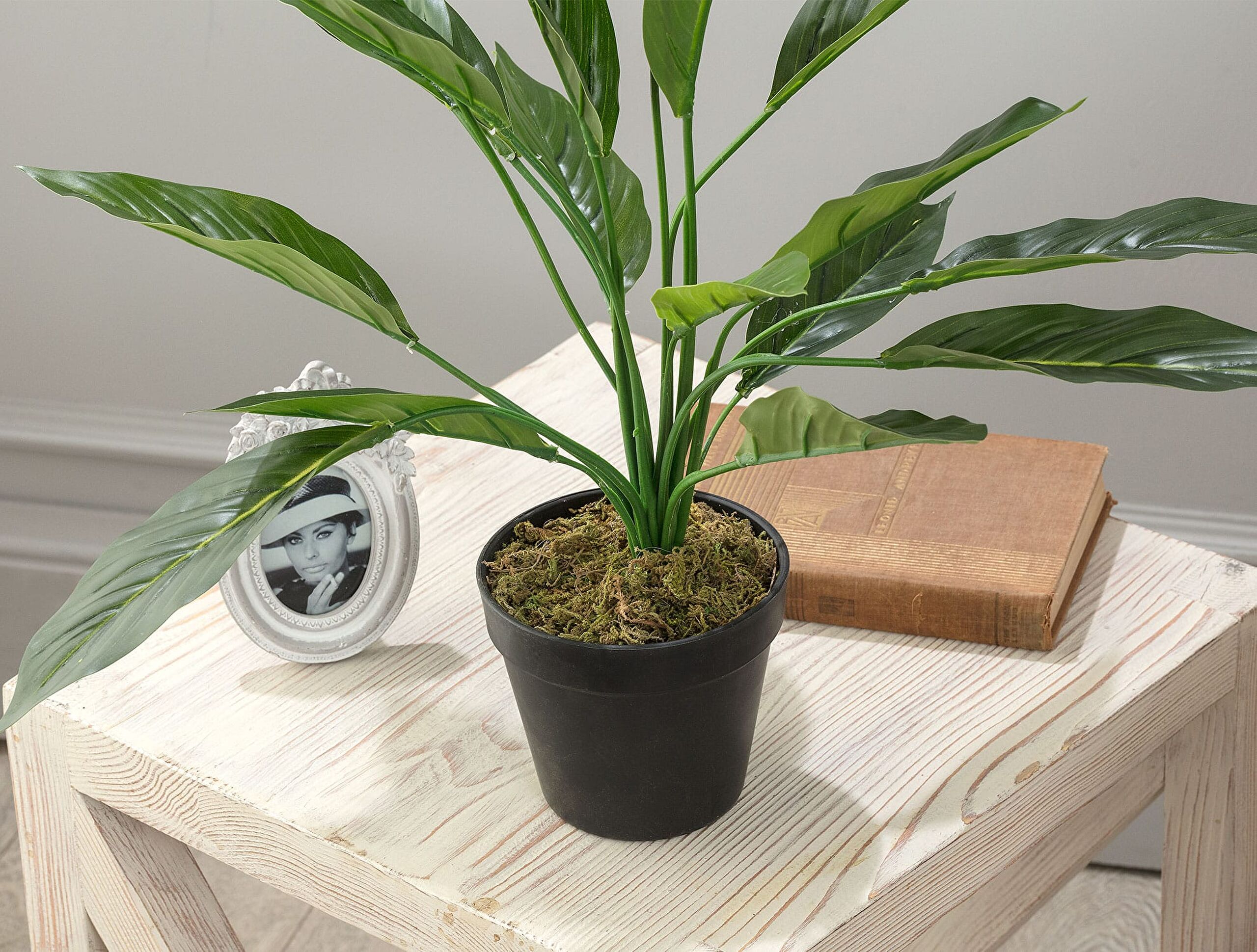 Broche Potted Plant - 2