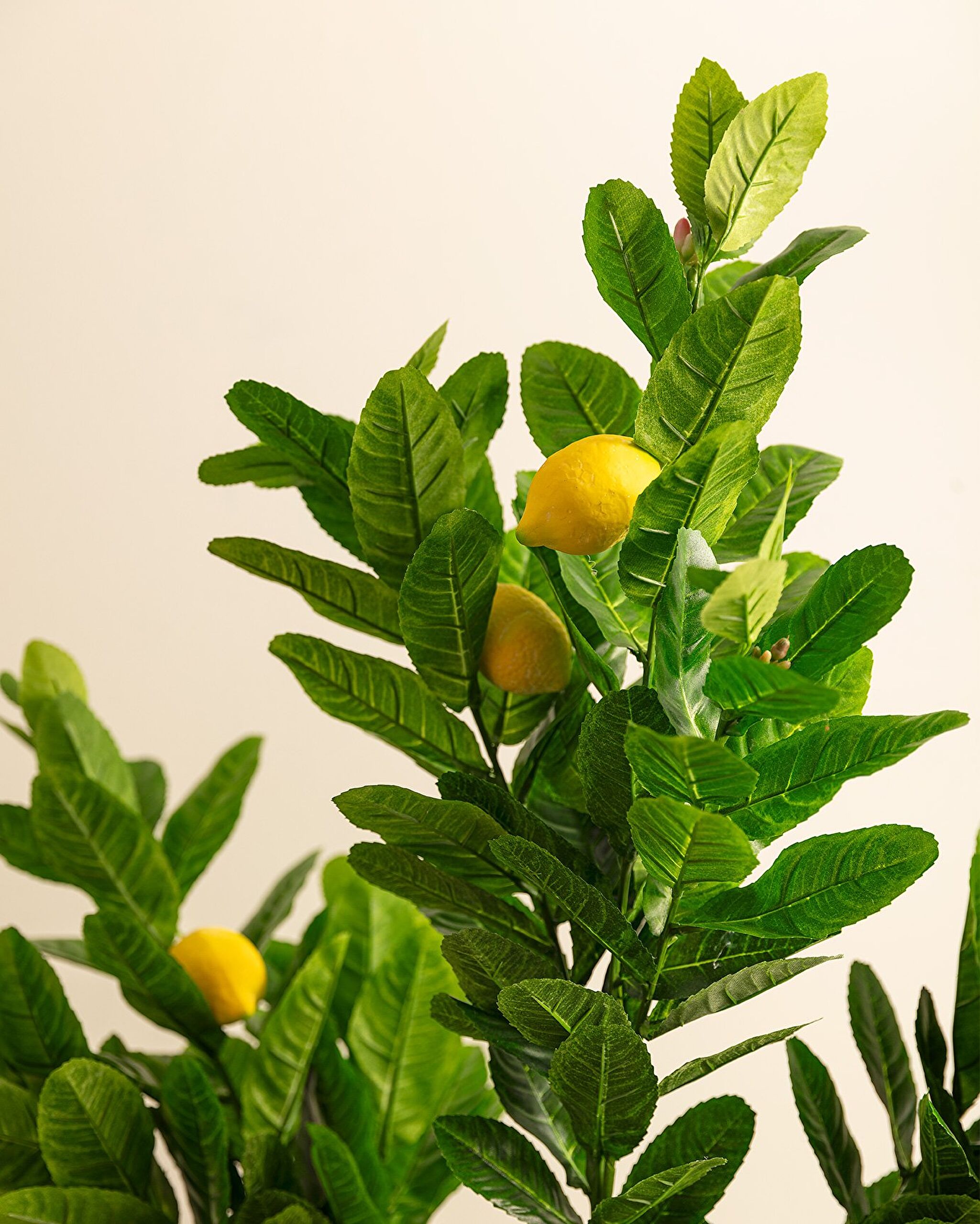 Fleur en pot Léonore - 2