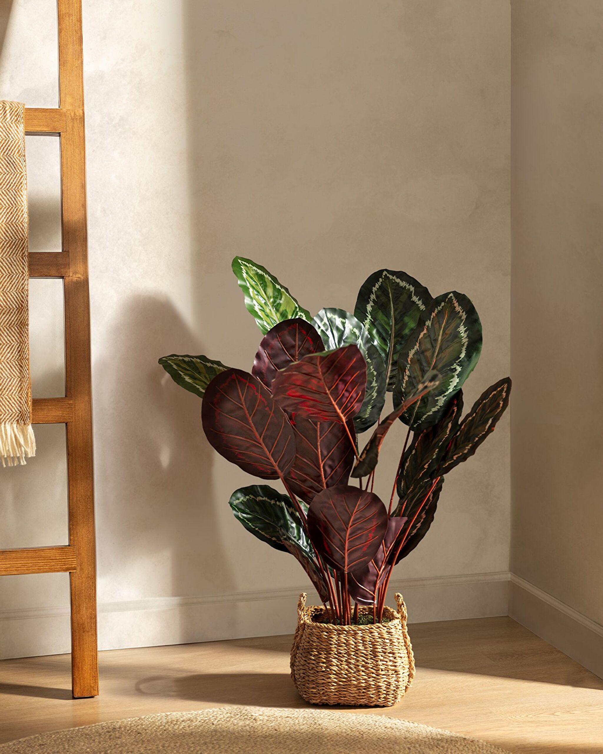 Fleur en pot Nicola - 0