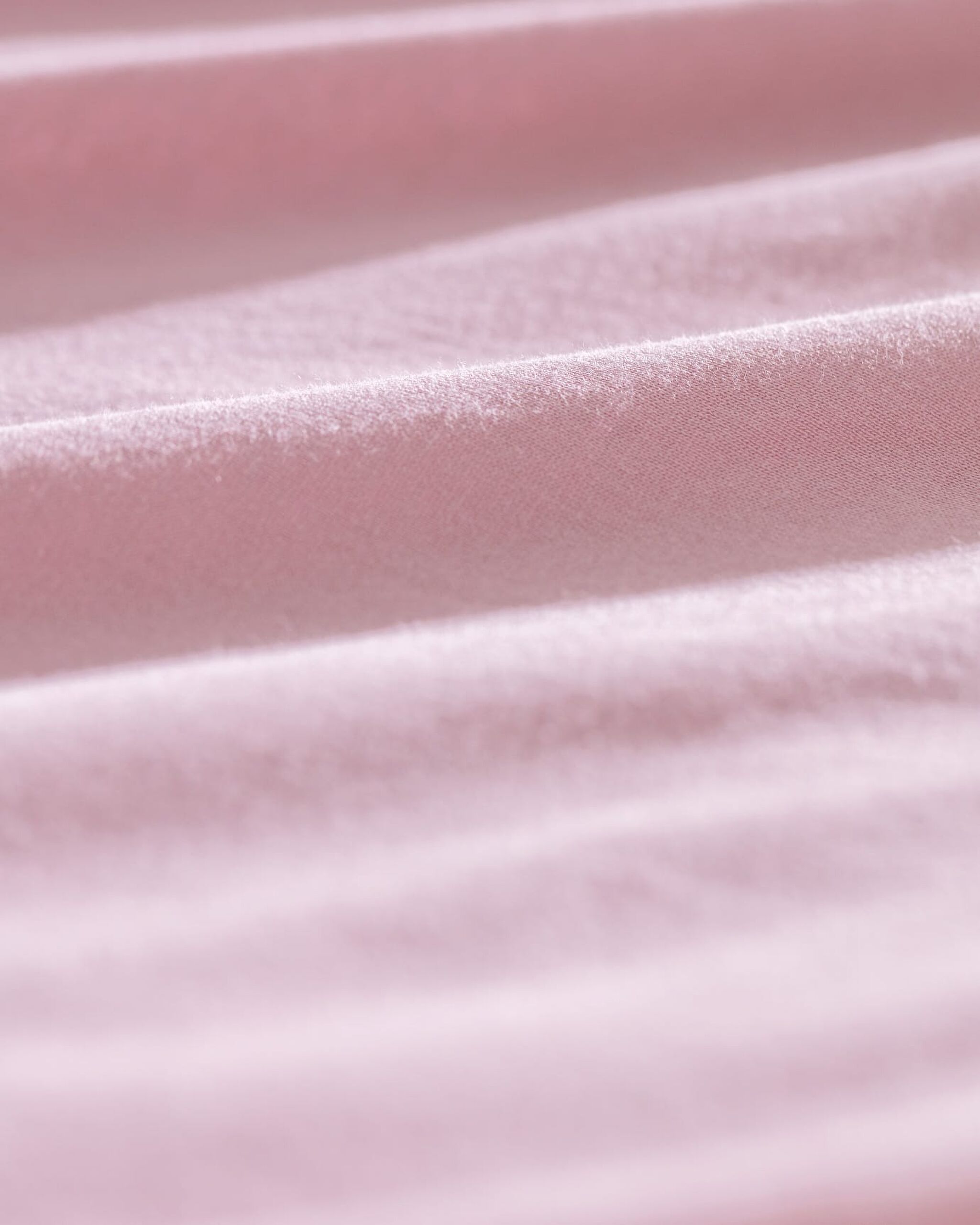 صفيحة فاليريا القطن - 3