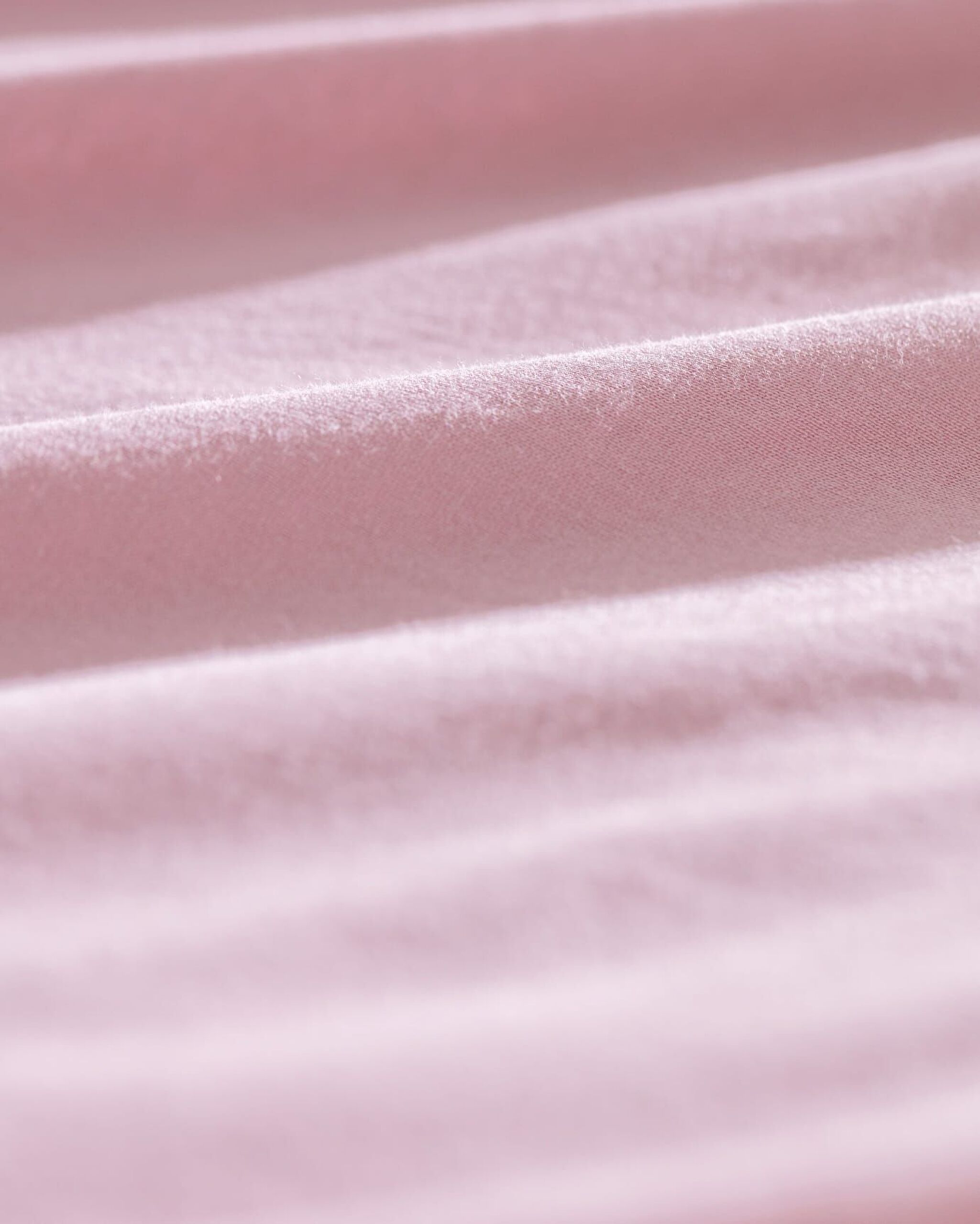 صفيحة فاليريا القطن - 3