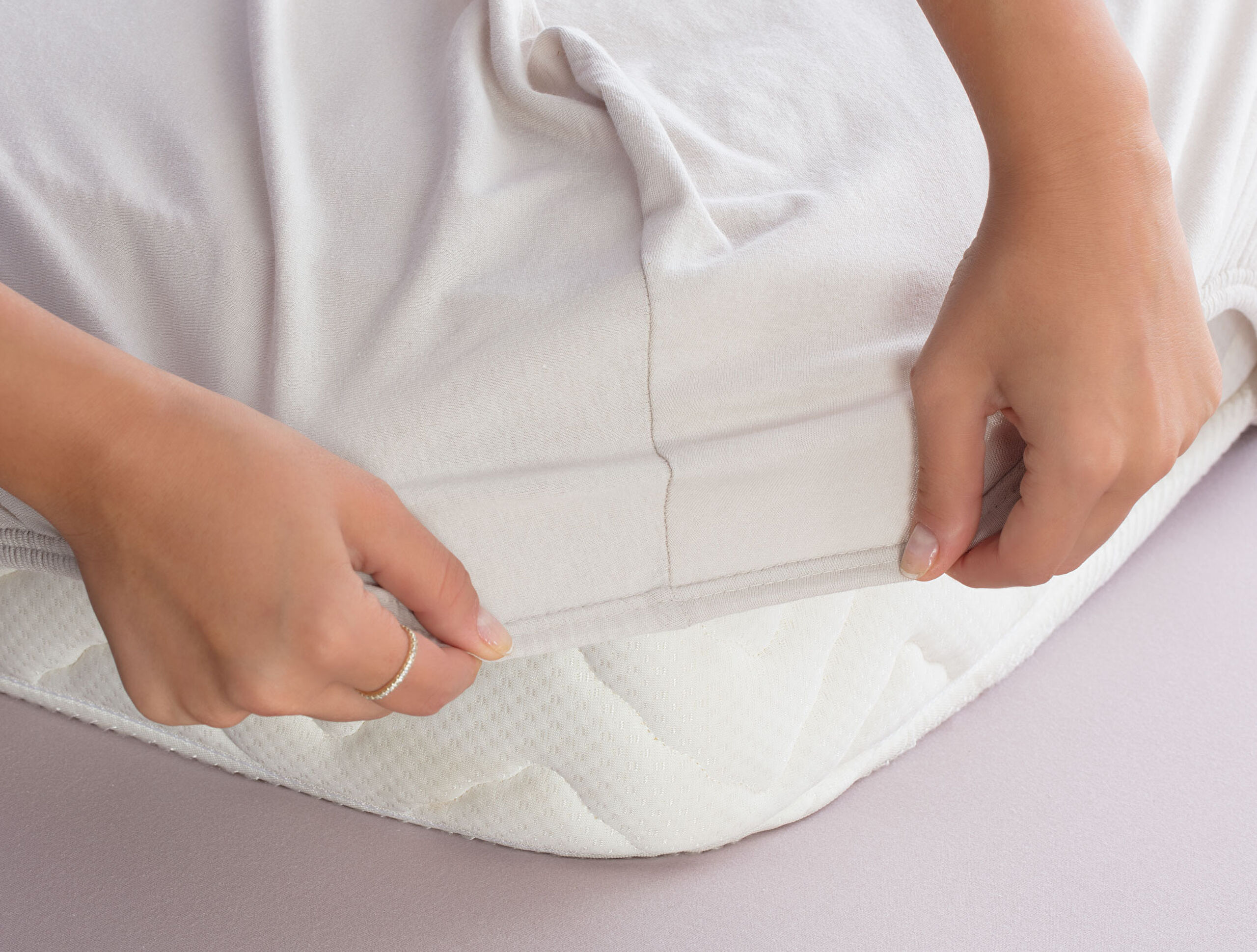 ⁠ Valeria Cotton Jersey Fitted Sheet_2}