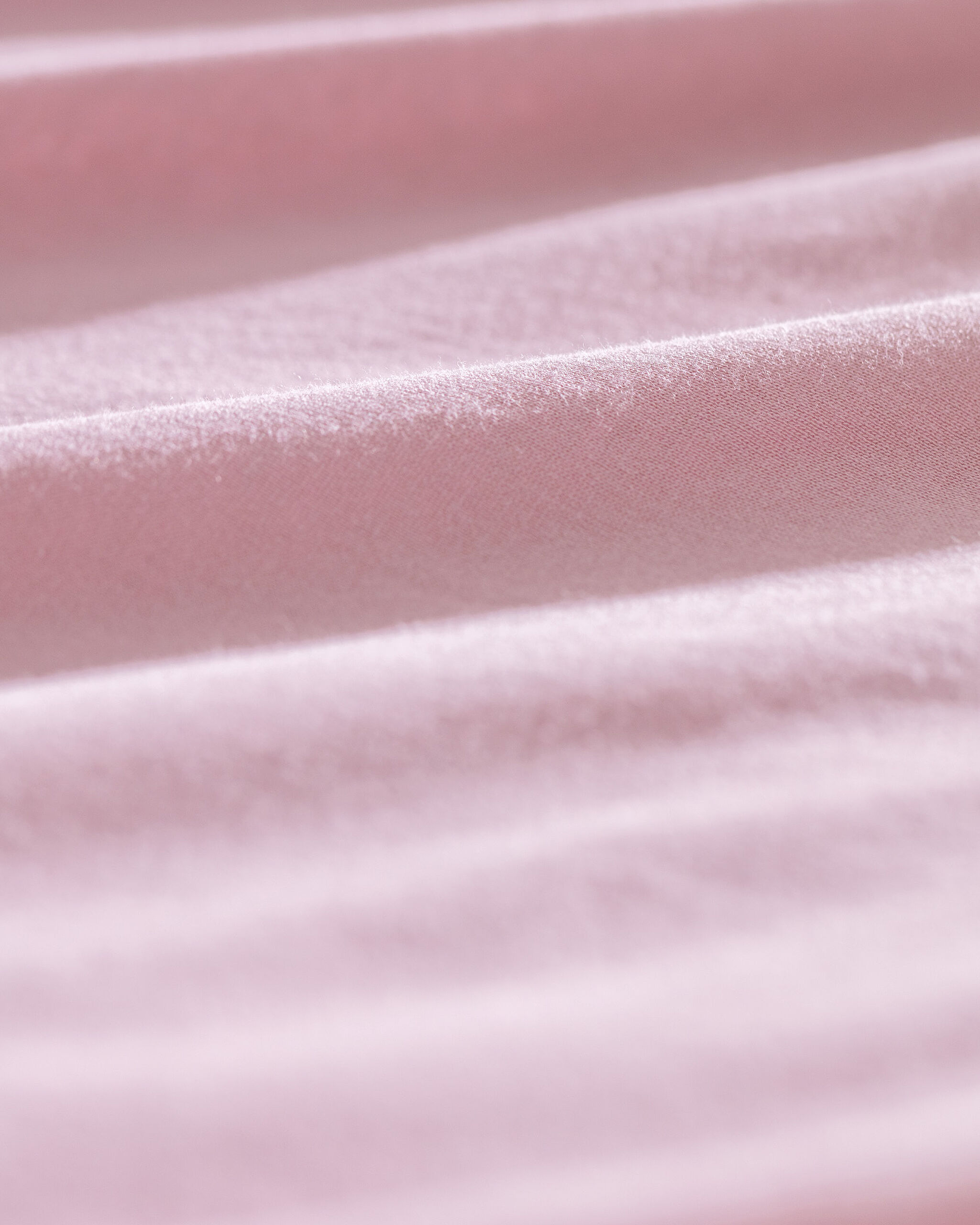 ورقة تركيب القطن Valeria - 3