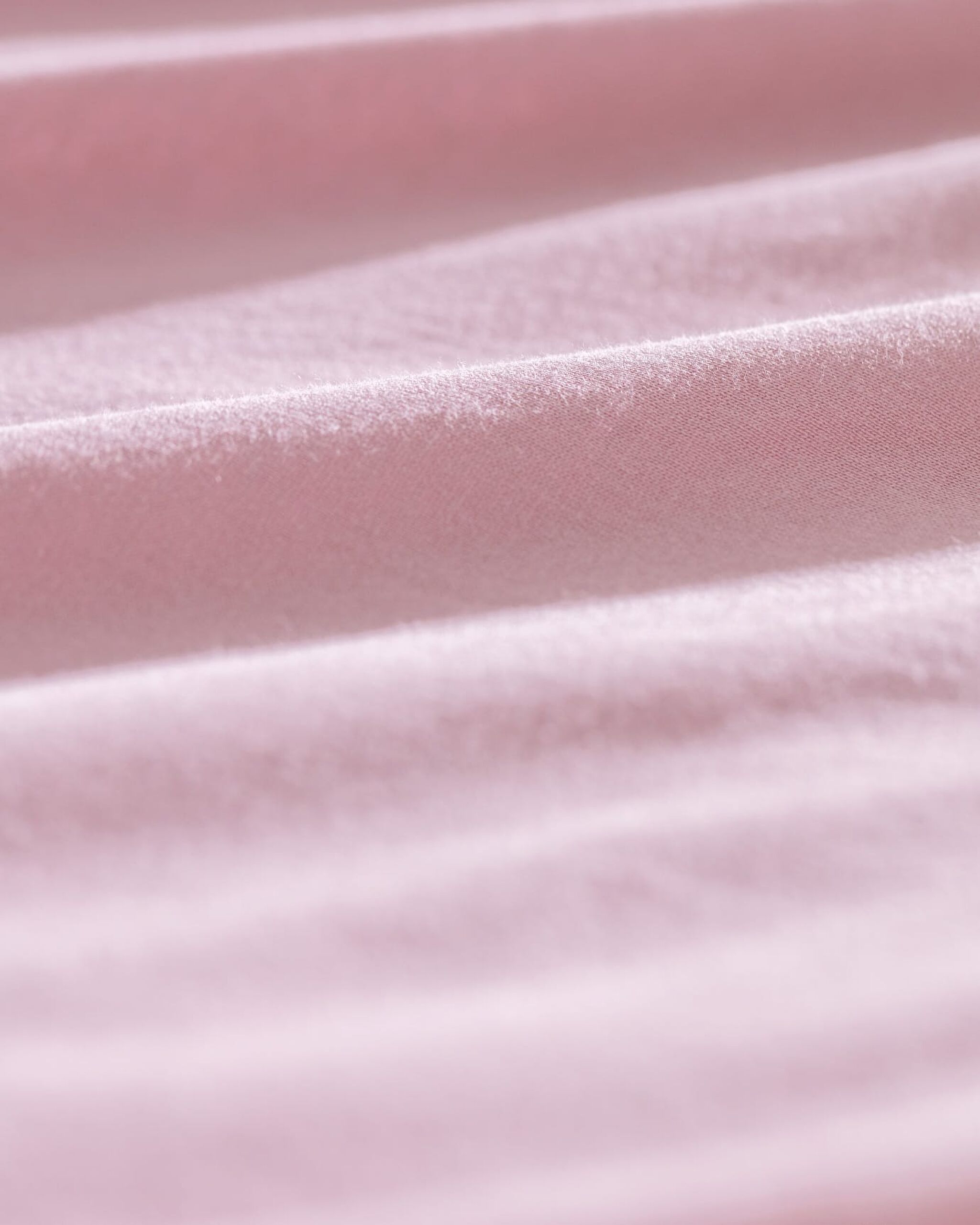 ورقة تركيب القطن Valeria - 3