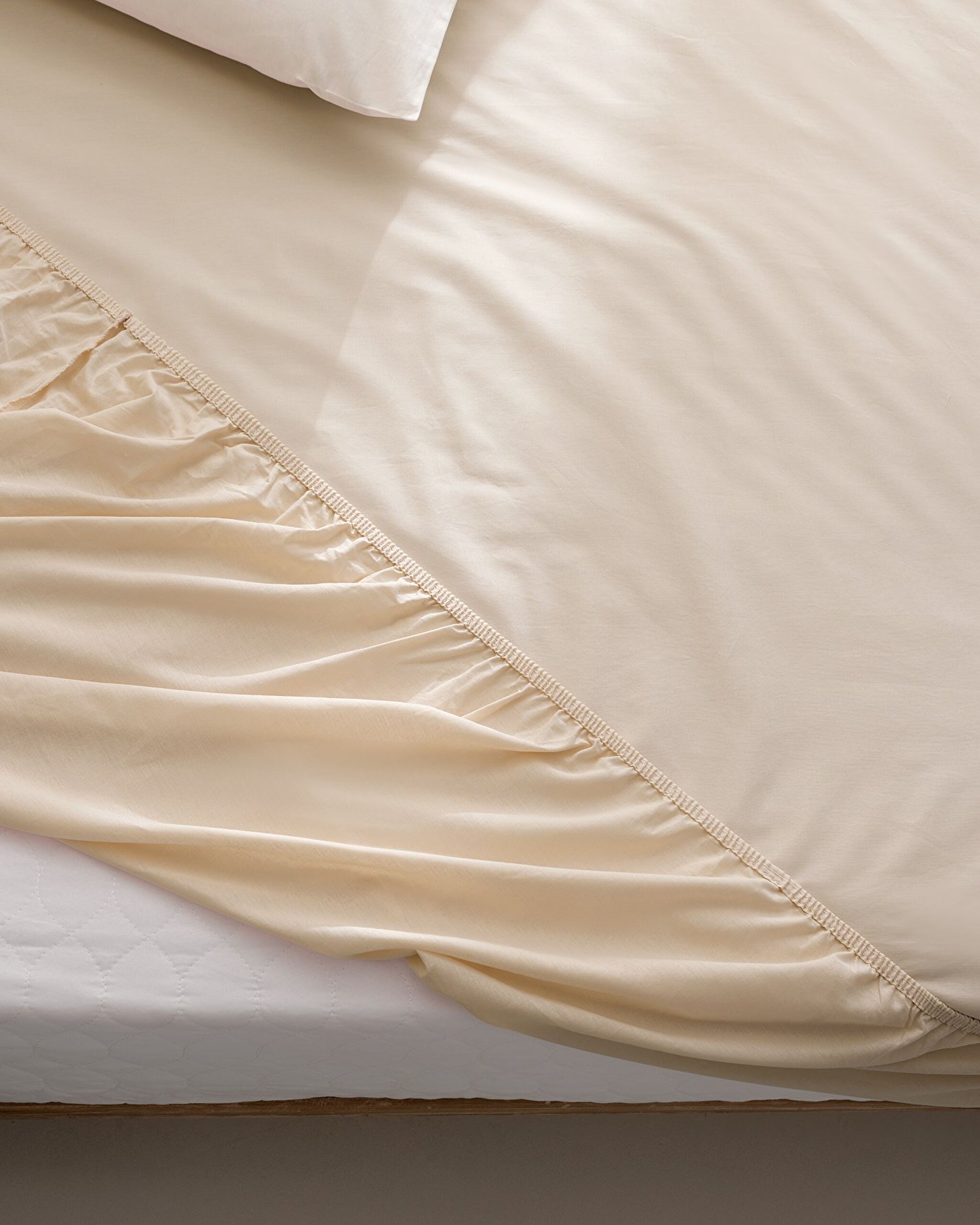 Drap-housse Ranforce 100 % coton King Size Plus Manon - Beige - 1