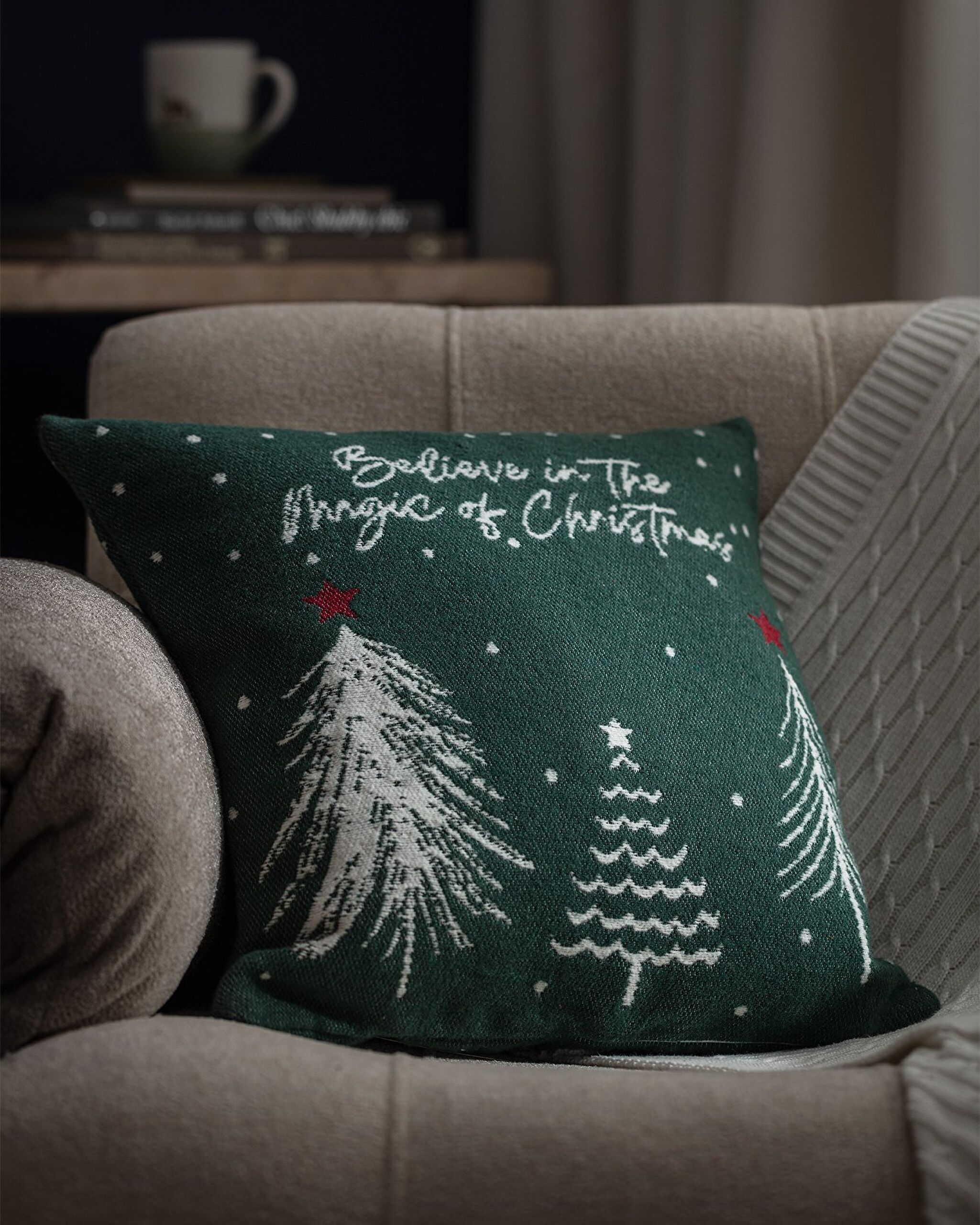 Givre  Cushion Cover - 1