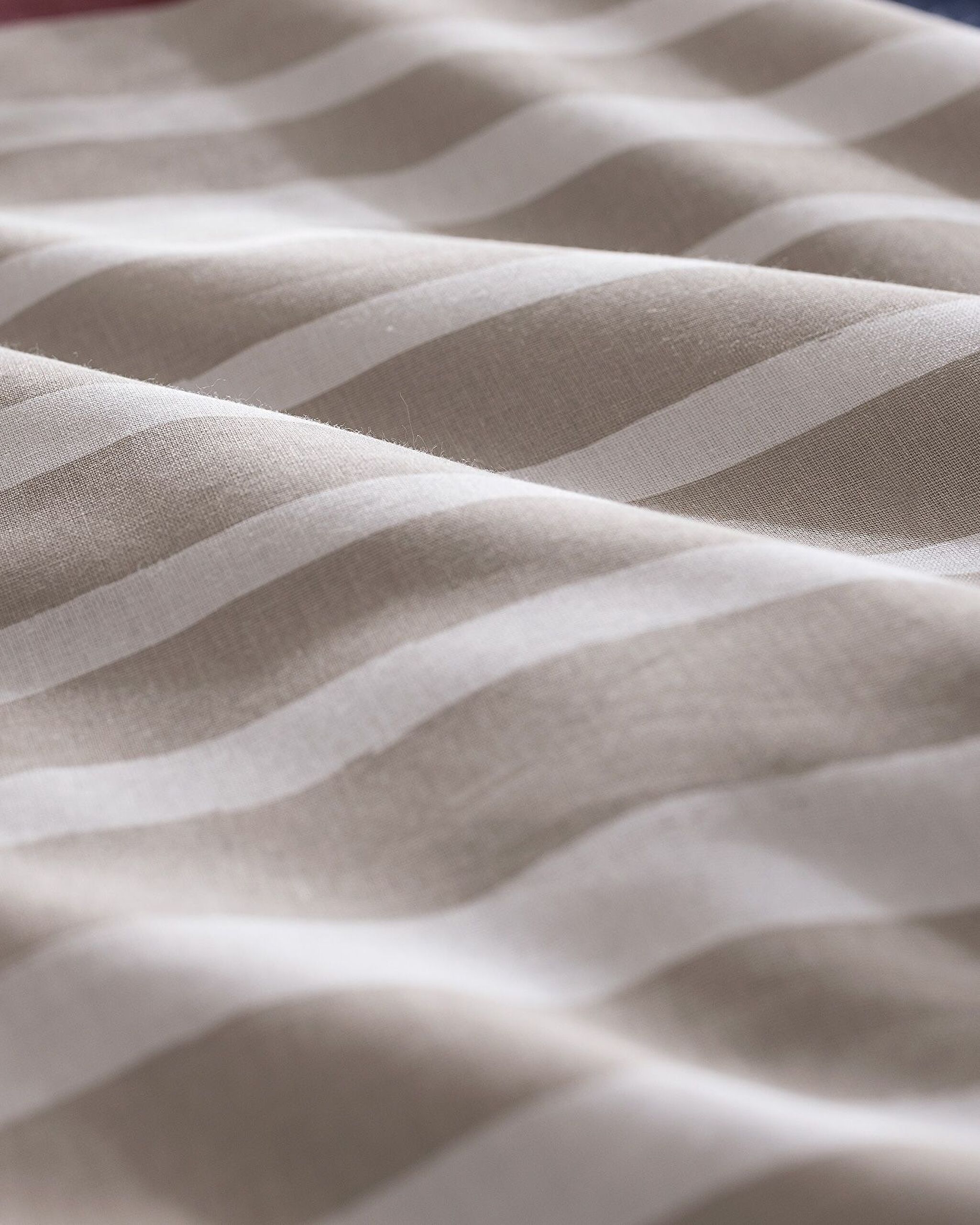 Marnay Bear Single 100 % Baumwolle Ranforce bedrucktes Bettbezug-Set – Beige - 7