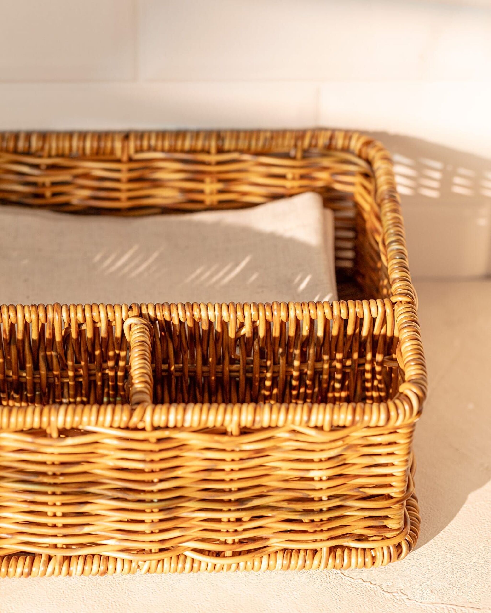 Trefle  Organizer - 1