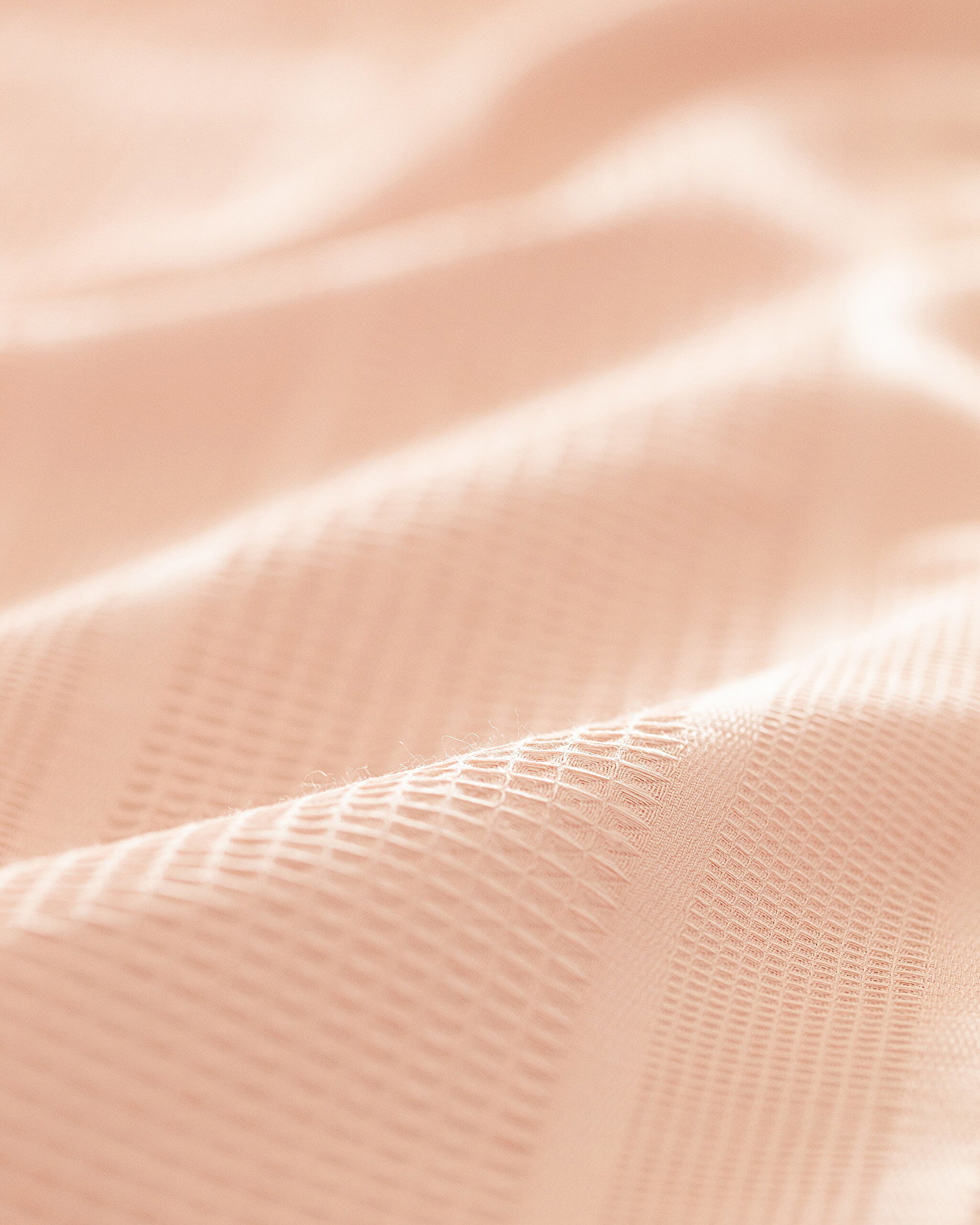 Brochet plat à double carde Mathilda - 4