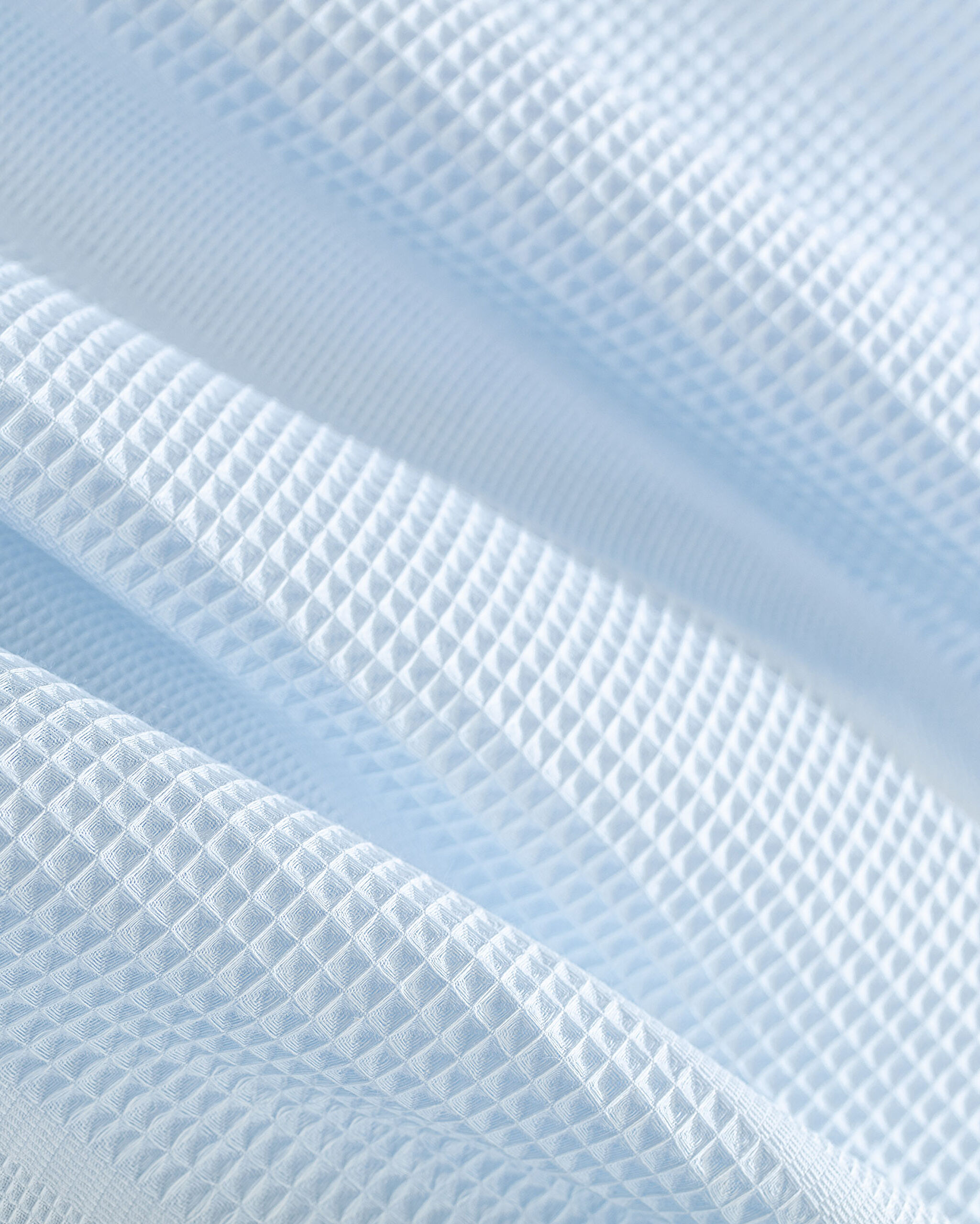 Mathilda Double Carded Plain Pike - Bleu clair - 2