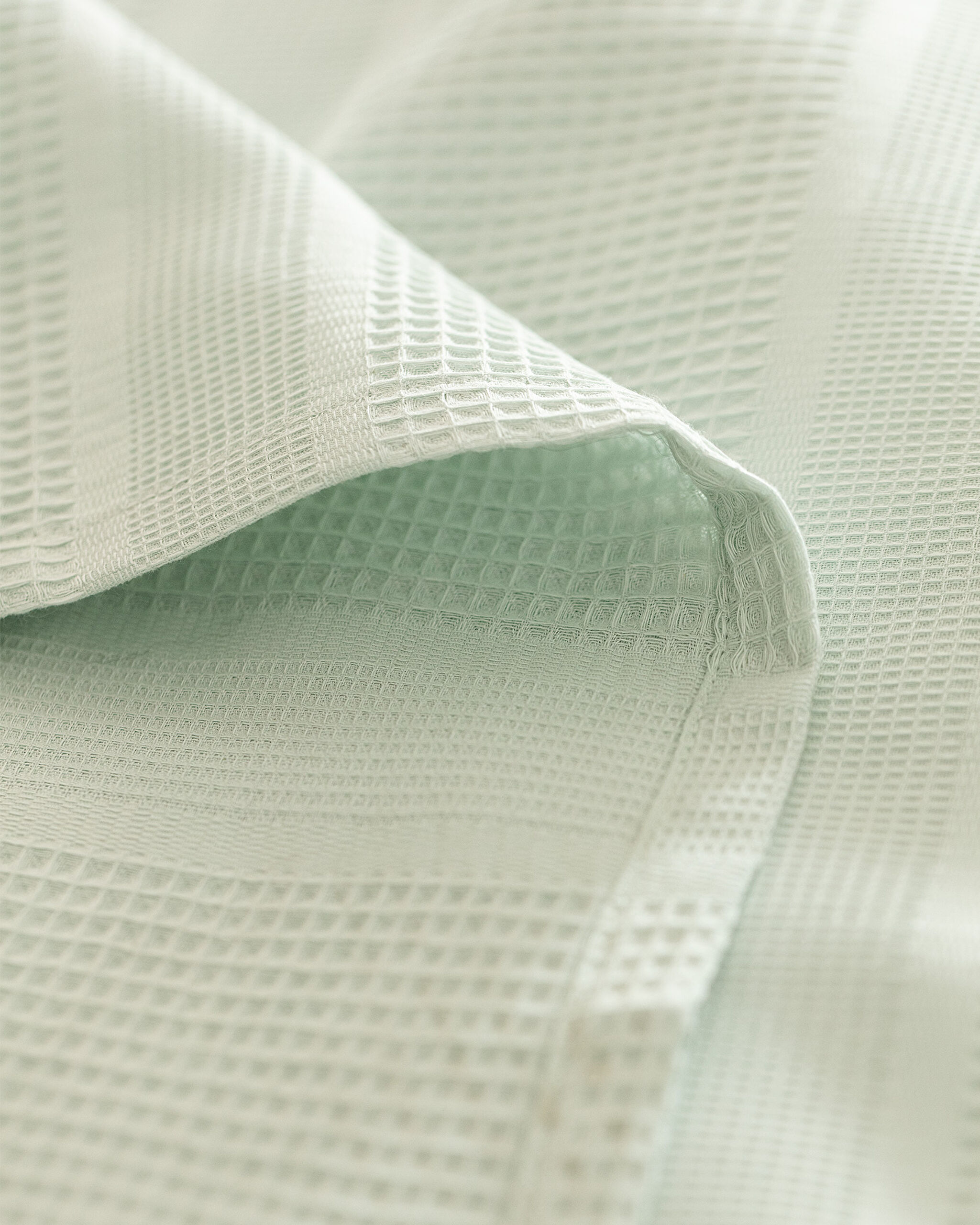 Brochet plat à double carde Mathilda - 2