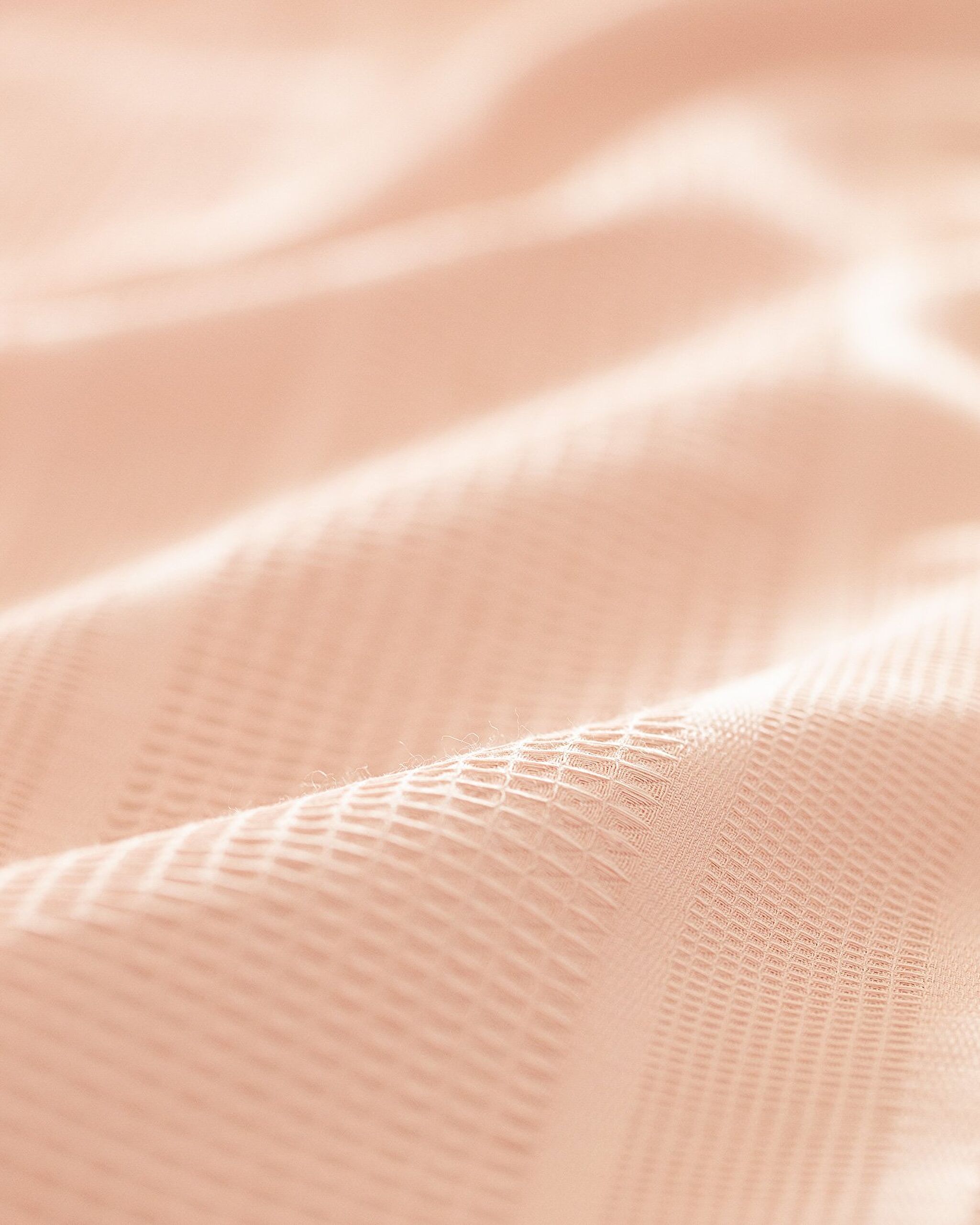 Piqué uni Mathilda Double Coton Ecocell - Poudre - 4