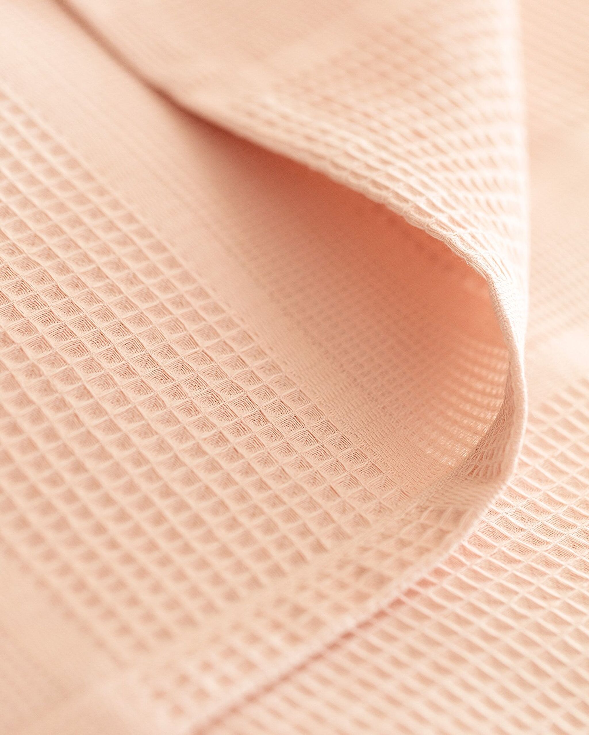 Piqué uni Mathilda Double Coton Ecocell - Poudre - 2