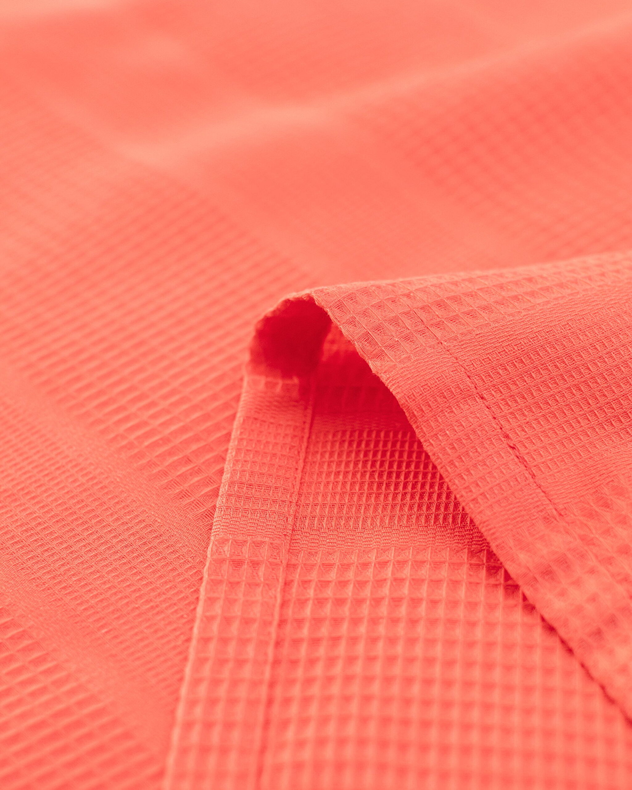 Brochet Plat Mathilda Double Ecocell - 4