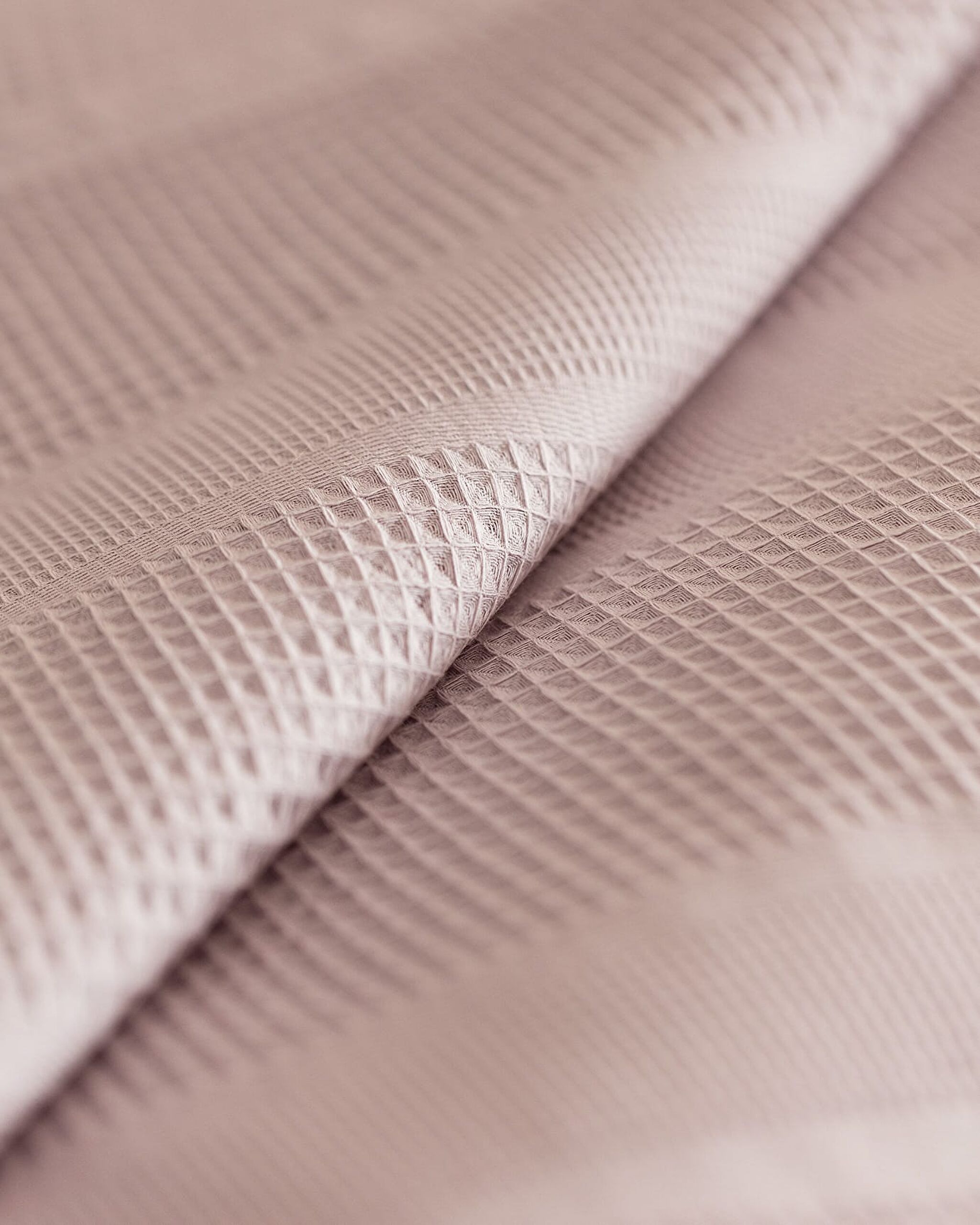 ماتيلدا كينغ سايز إيكوسيل بايك عادي - 3