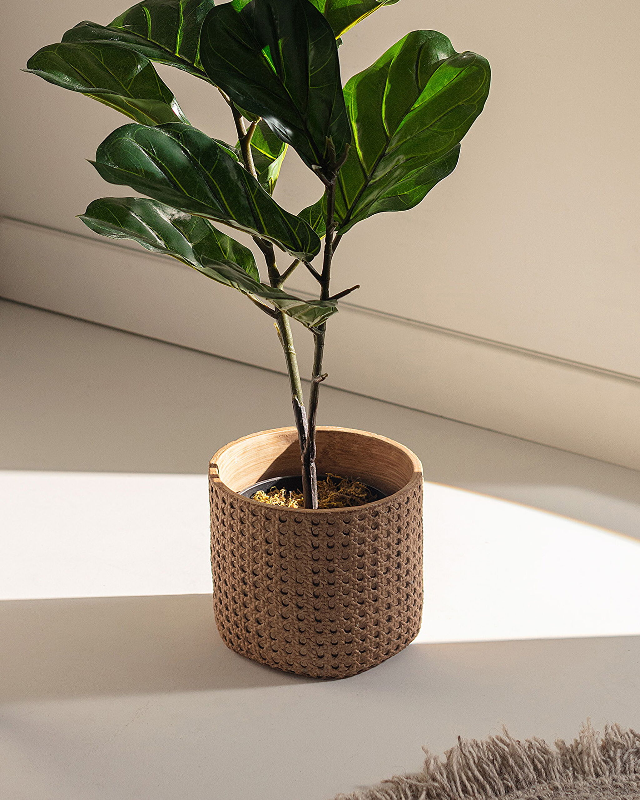 Lianen-Blumentopf 20 cm - 1