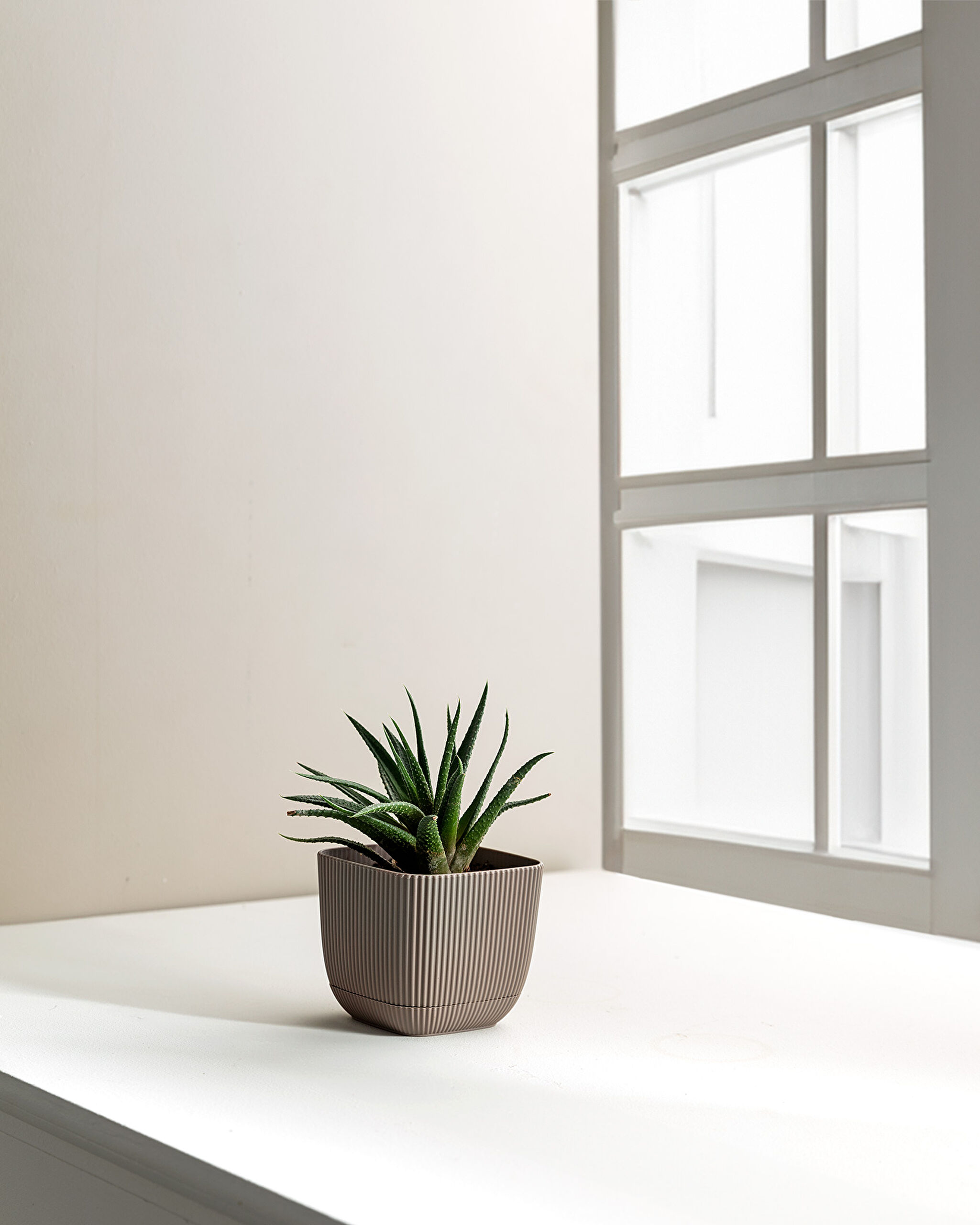 Abella Blumentopf 270 ml - 1