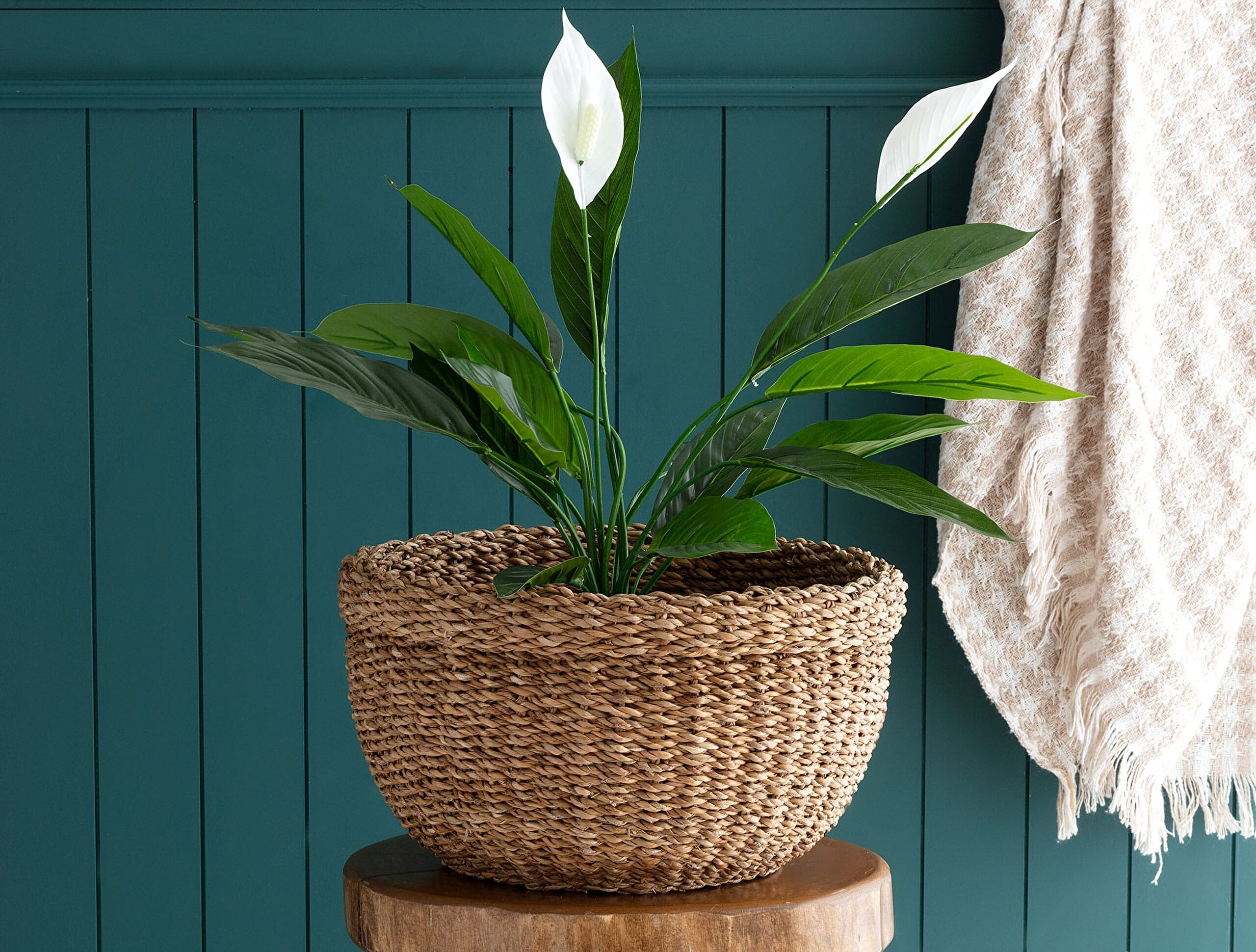 Brune Small Wicker Basket - 0