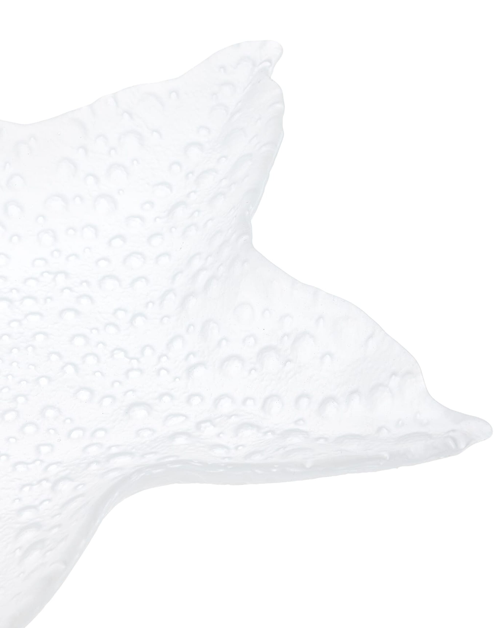 Astre Decorative Plate - Large Size - White - 6