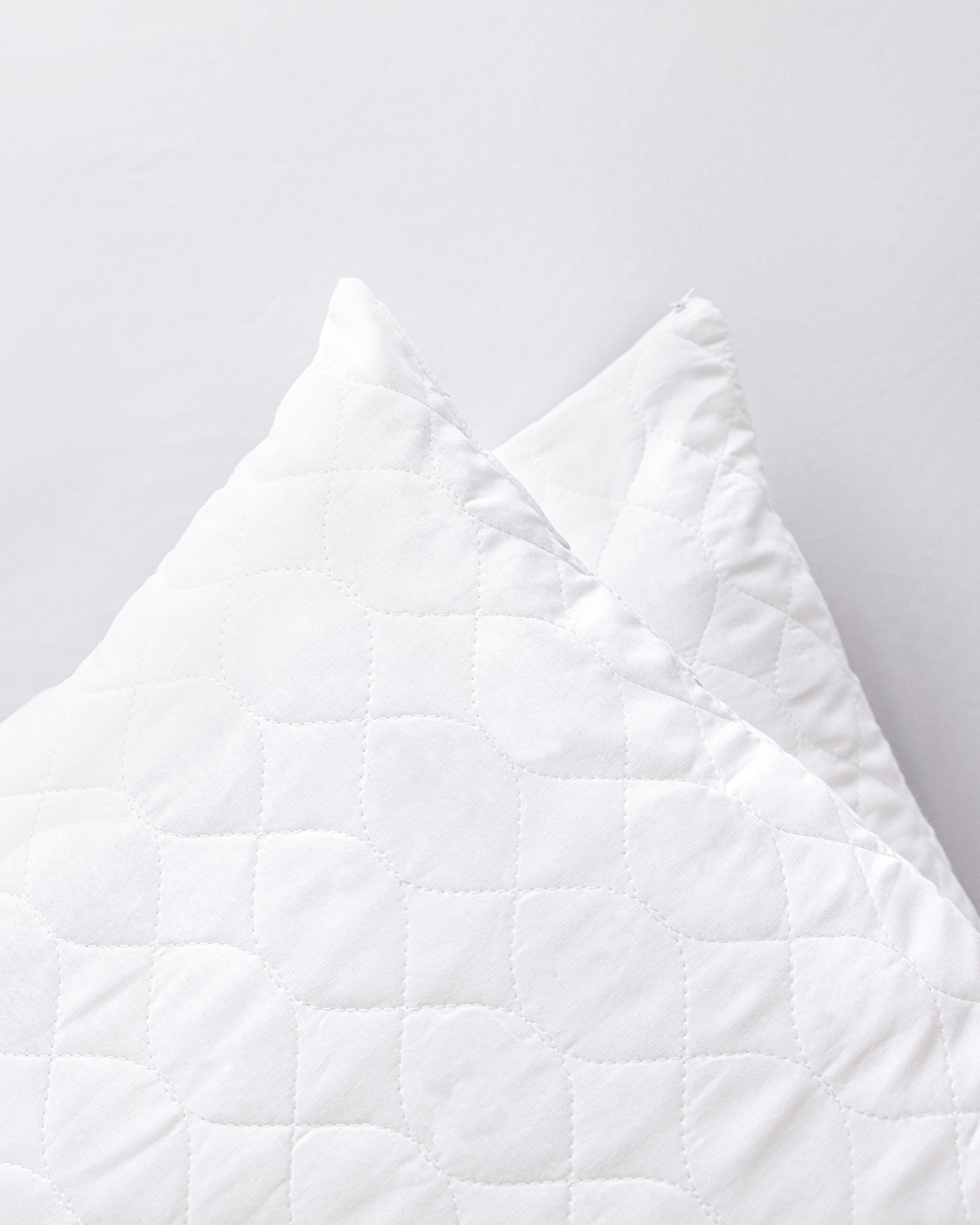 ⁠ Crispy 2-pack Cotton Quilted Pillow Protector_3}