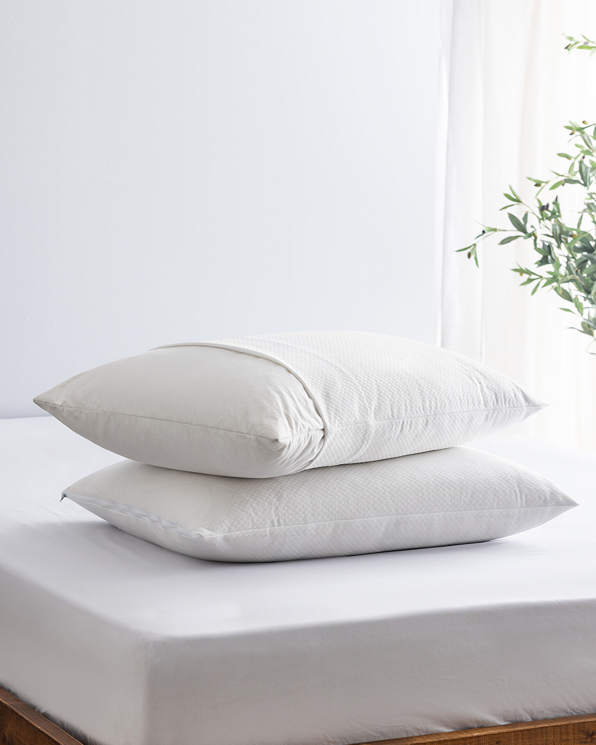 Blanch 2-pack Waterproof Pillow Protector