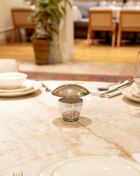 ديانا تاتش عاكس الضوء - 6