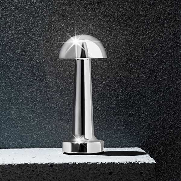 عاكس الضوء ليونا - 3