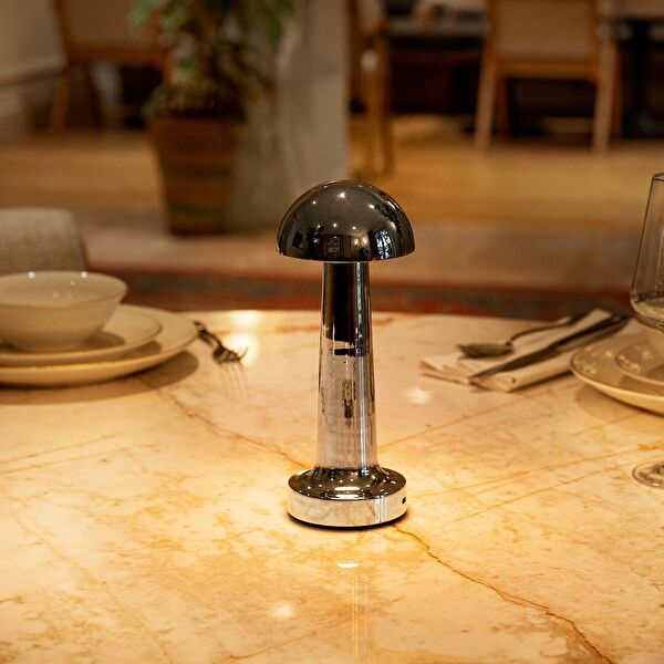 عاكس الضوء ليونا - 1