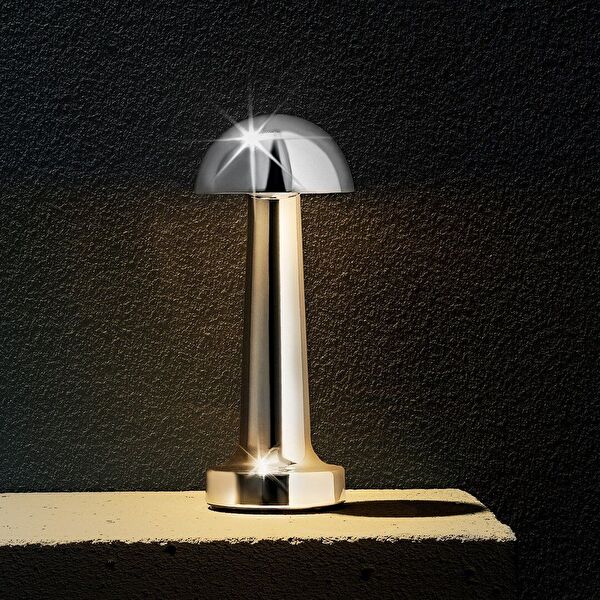 عاكس الضوء ليونا - 2