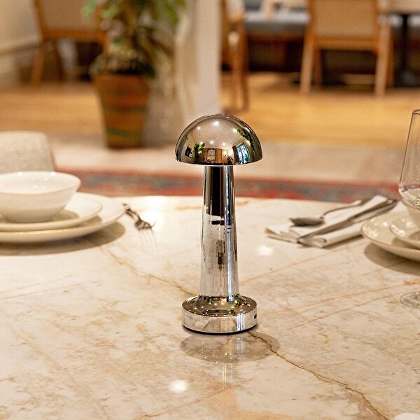 عاكس الضوء ليونا - 0