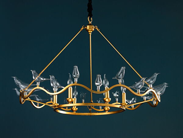 الثريا Oiseaux - 0