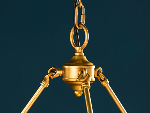 الثريا Oiseaux - 12