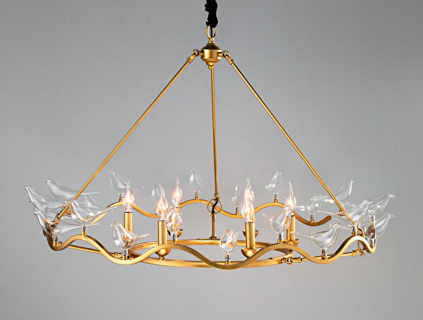 الثريا Oiseaux - 3