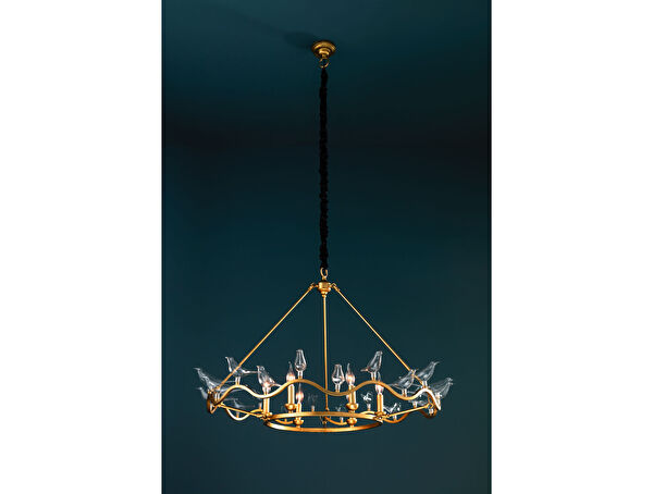 الثريا Oiseaux - 6