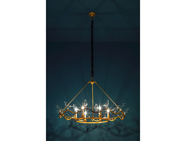 الثريا Oiseaux - 7