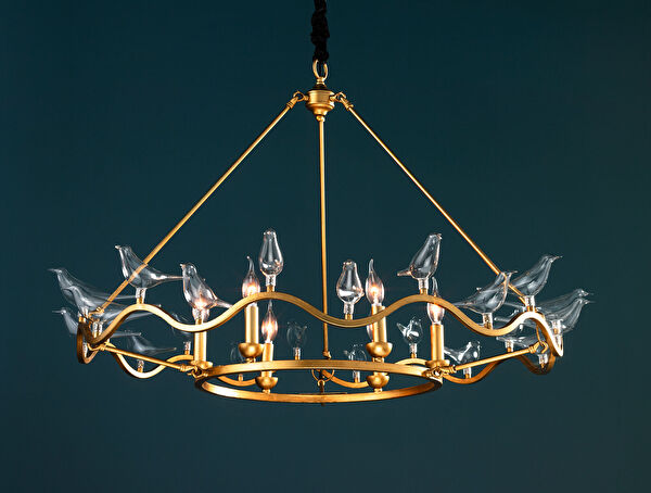 الثريا Oiseaux - 2