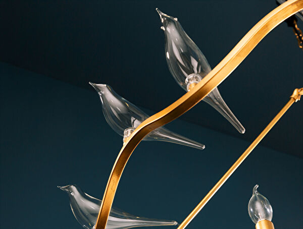 الثريا Oiseaux - 11