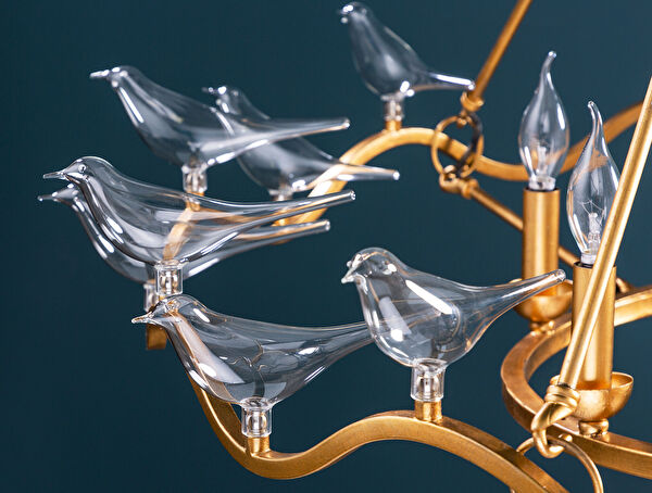 الثريا Oiseaux - 8