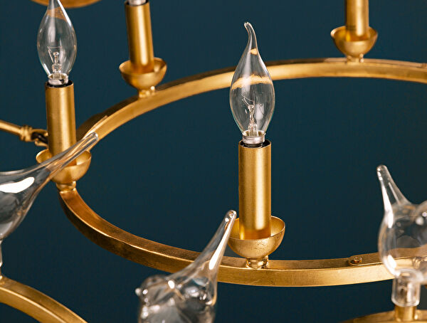 الثريا Oiseaux - 10