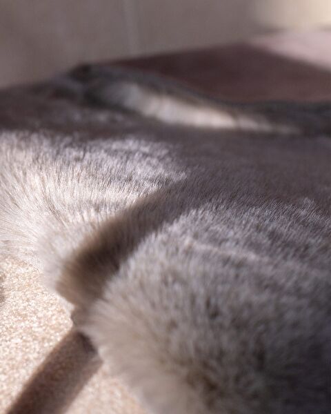 Armend Post - Gray - 60x90 cm - 2