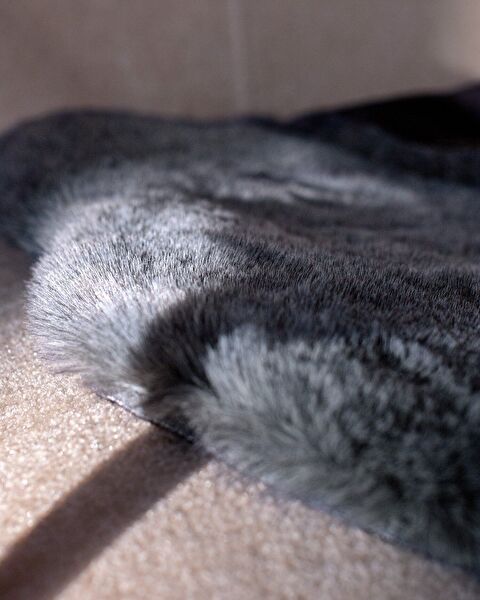 ارمند بوست - 2